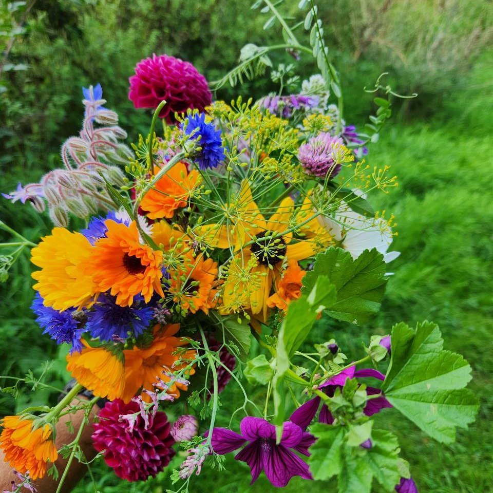 Blumen_2.jpg
