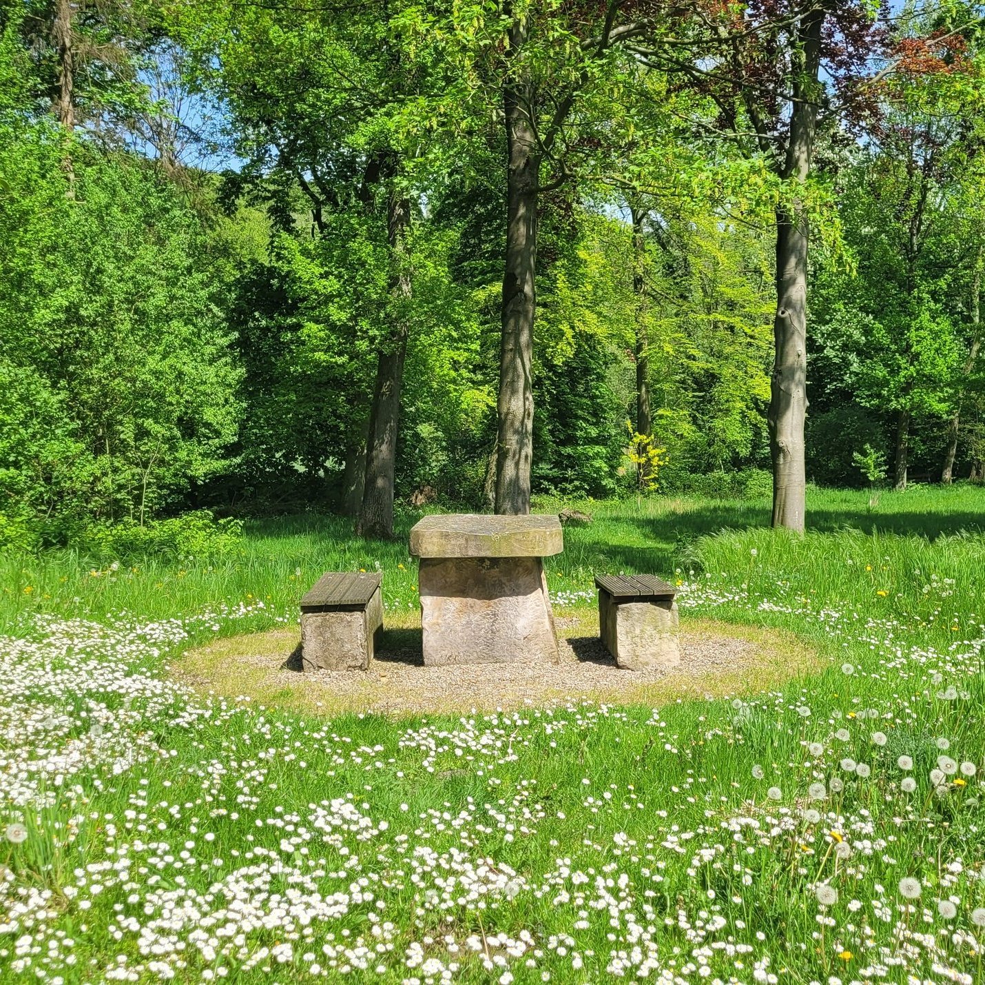 Ein steinerner Tisch in einem Park