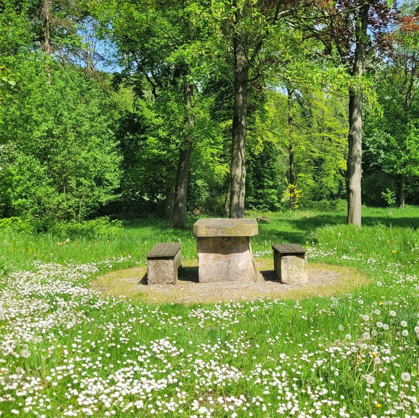 park_steintisch.jpg