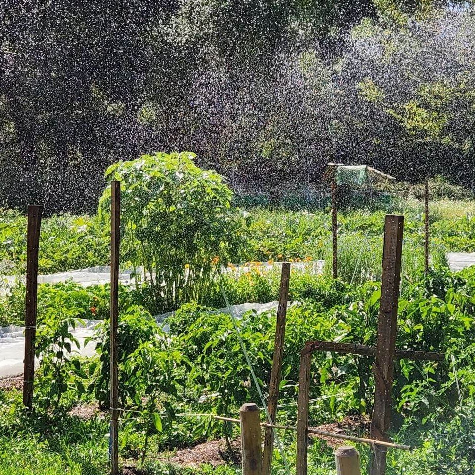 photo_2024-11-09_11-44-56.jpg photo_2024-11-09_11-44-56.jpg