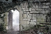 AdobeStock 290206995