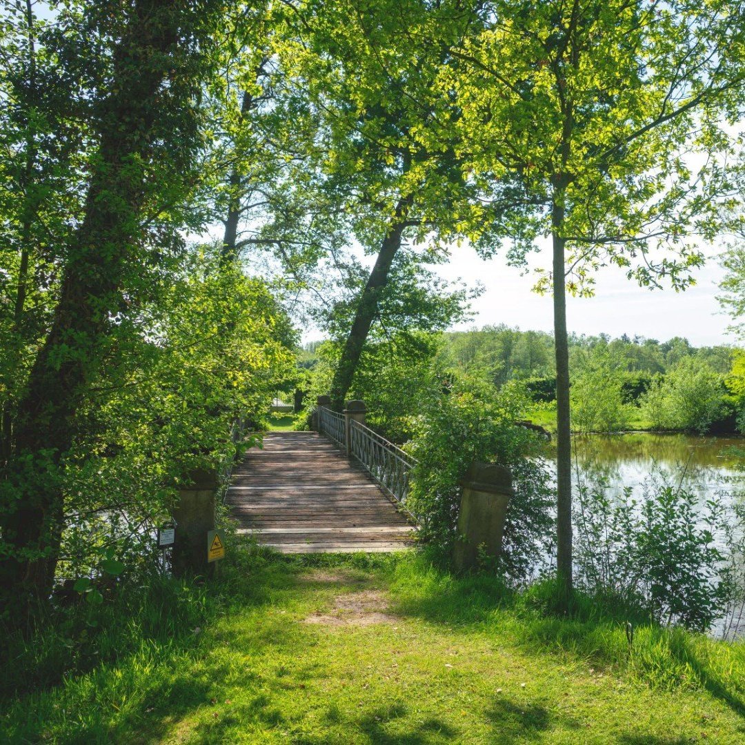 teich_DSC09094.jpg