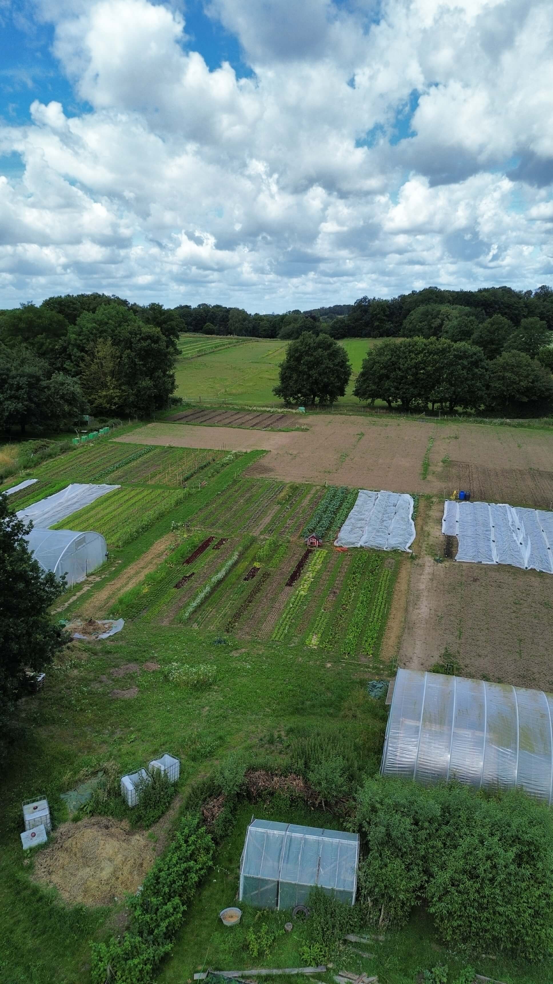 dji_fly_20240707_104740_61_1720342314753_photo_optimized_3440.jpg