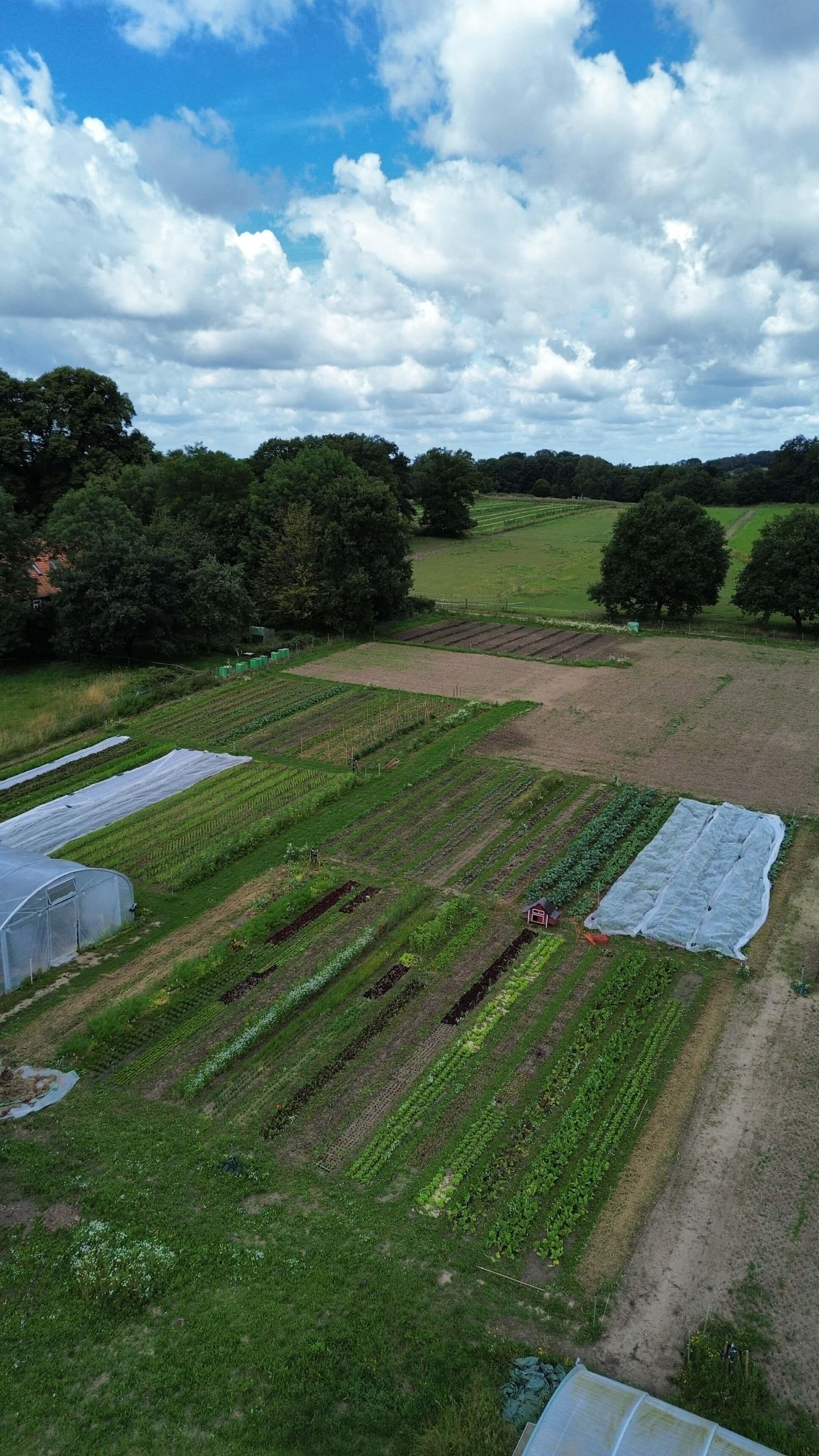 dji_fly_20240707_104800_63_1720342305558_photo_optimized_3440.jpg