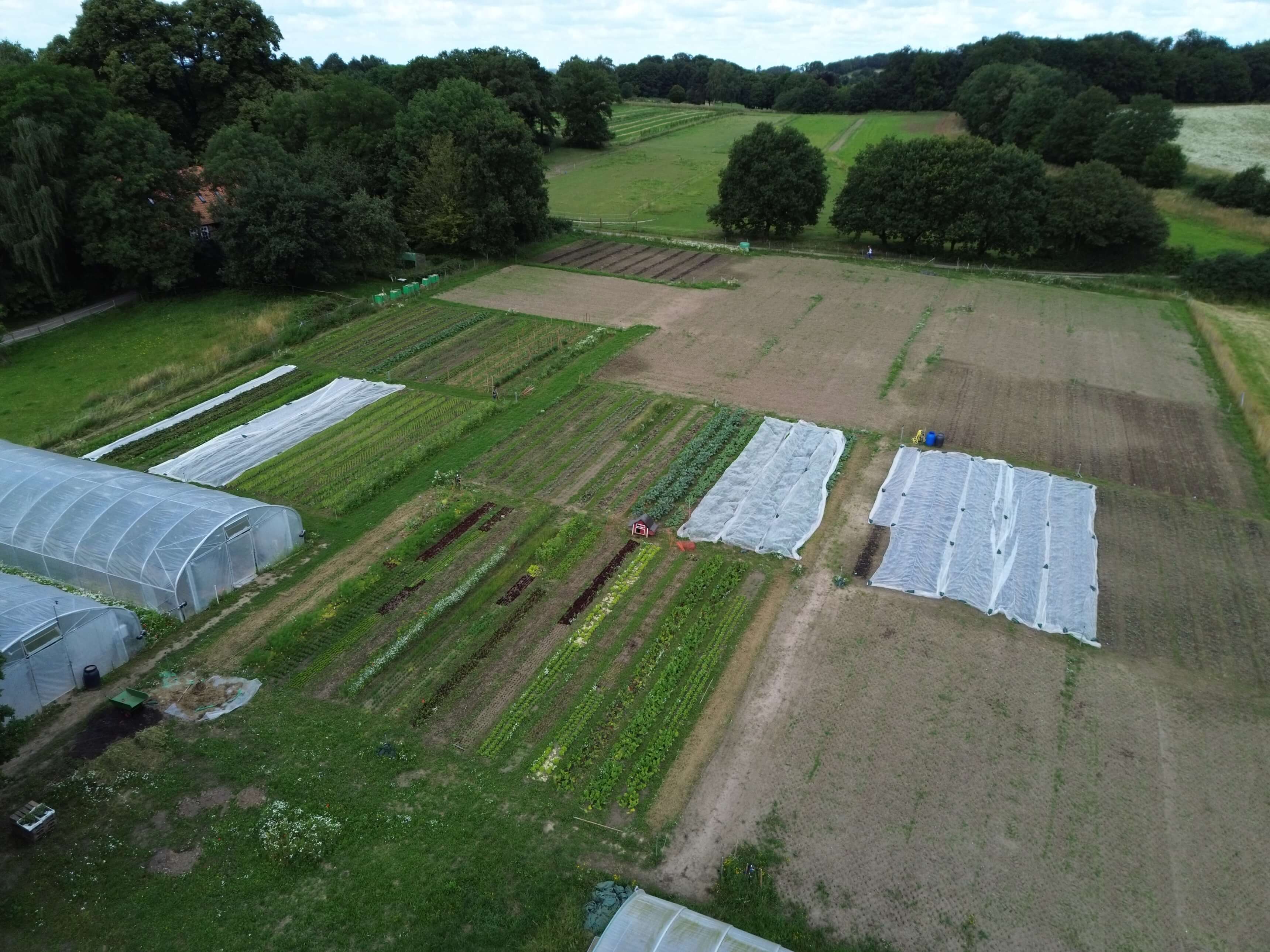 dji_fly_20240707_104830_67_1720342544325_photo_3440.jpg