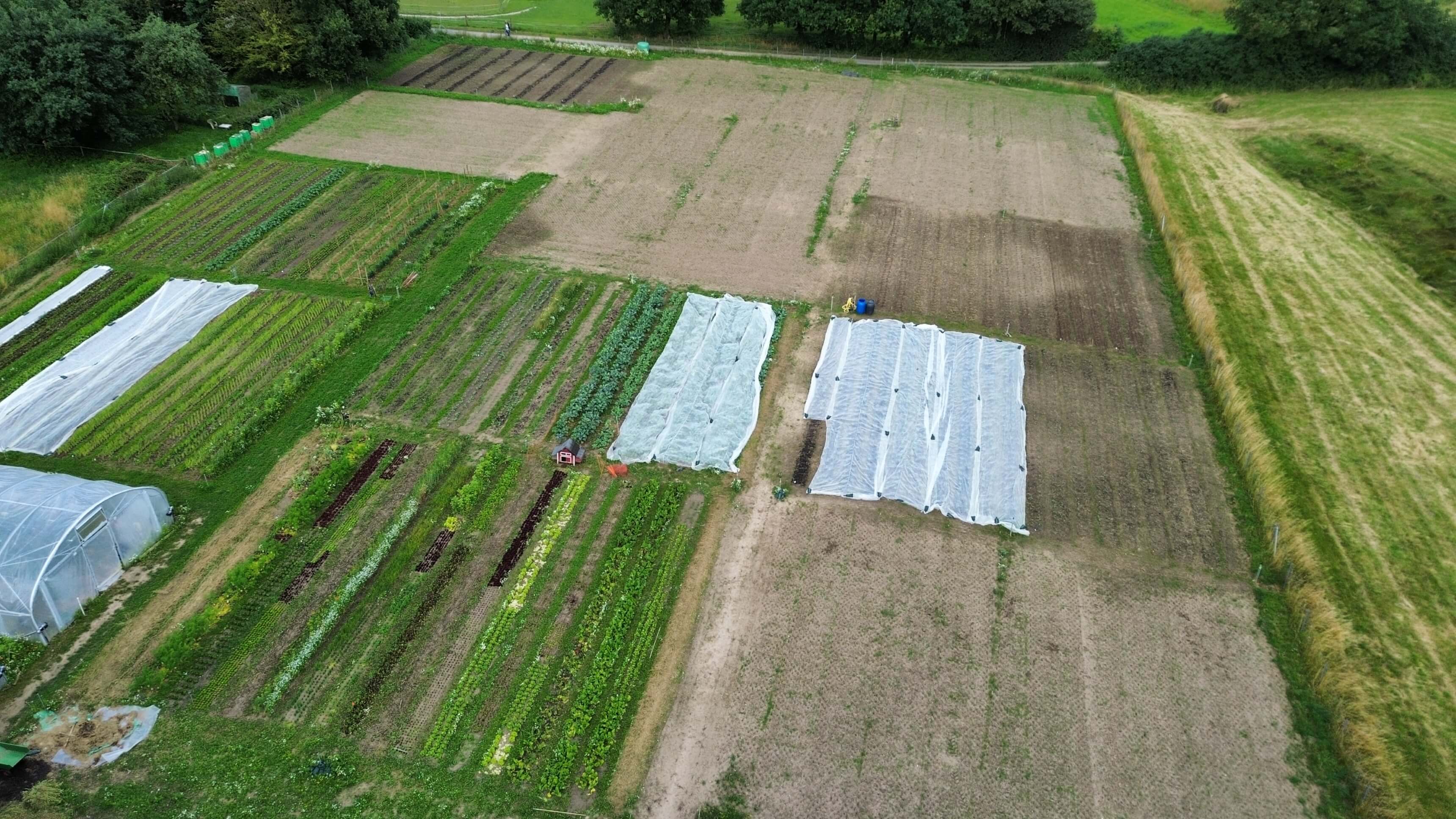 dji_fly_20240707_104852_69_1720342552550_photo_optimized_3440.jpg