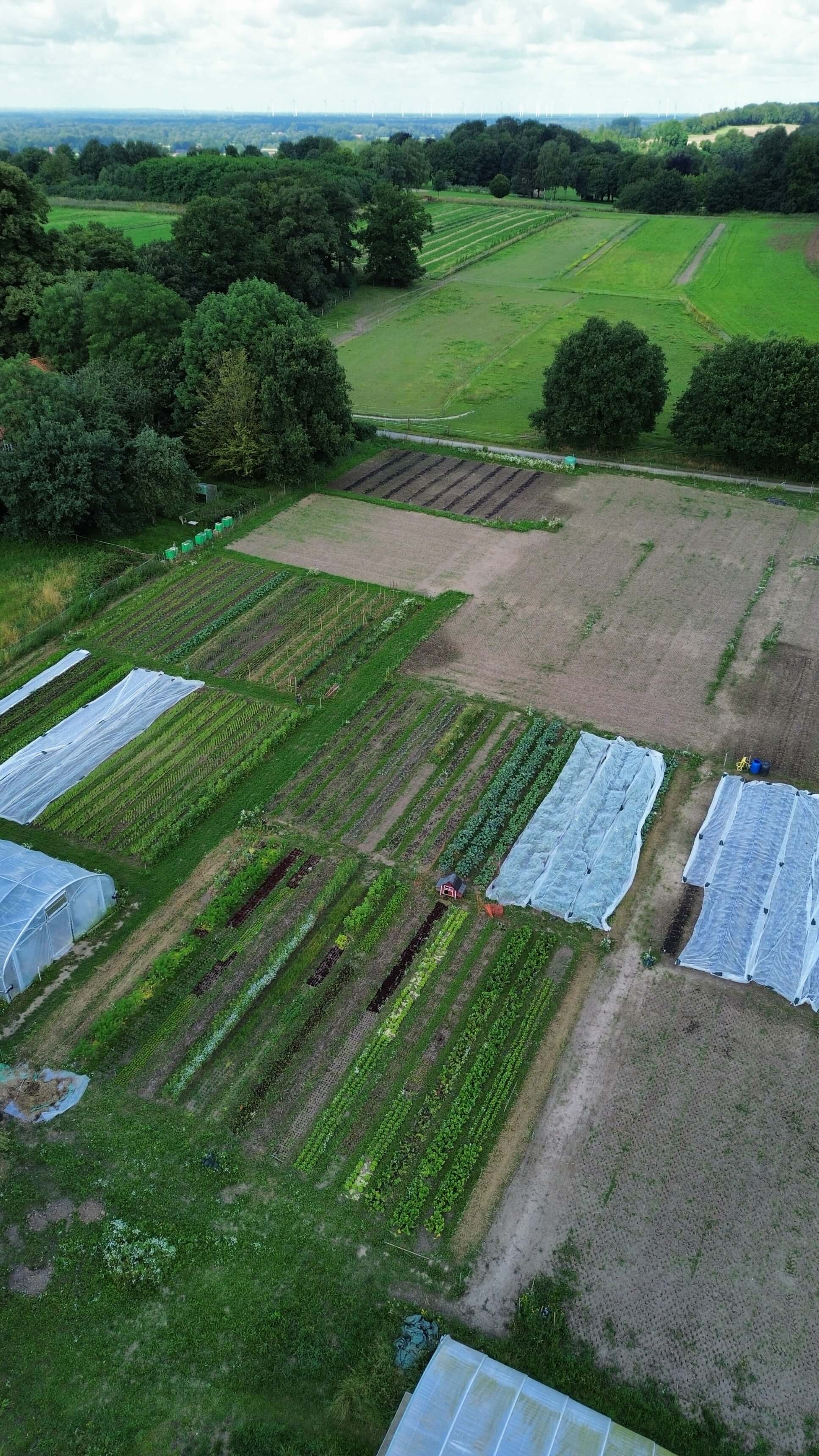dji_fly_20240707_105202_77_1720342561775_photo_optimized_3440.jpg