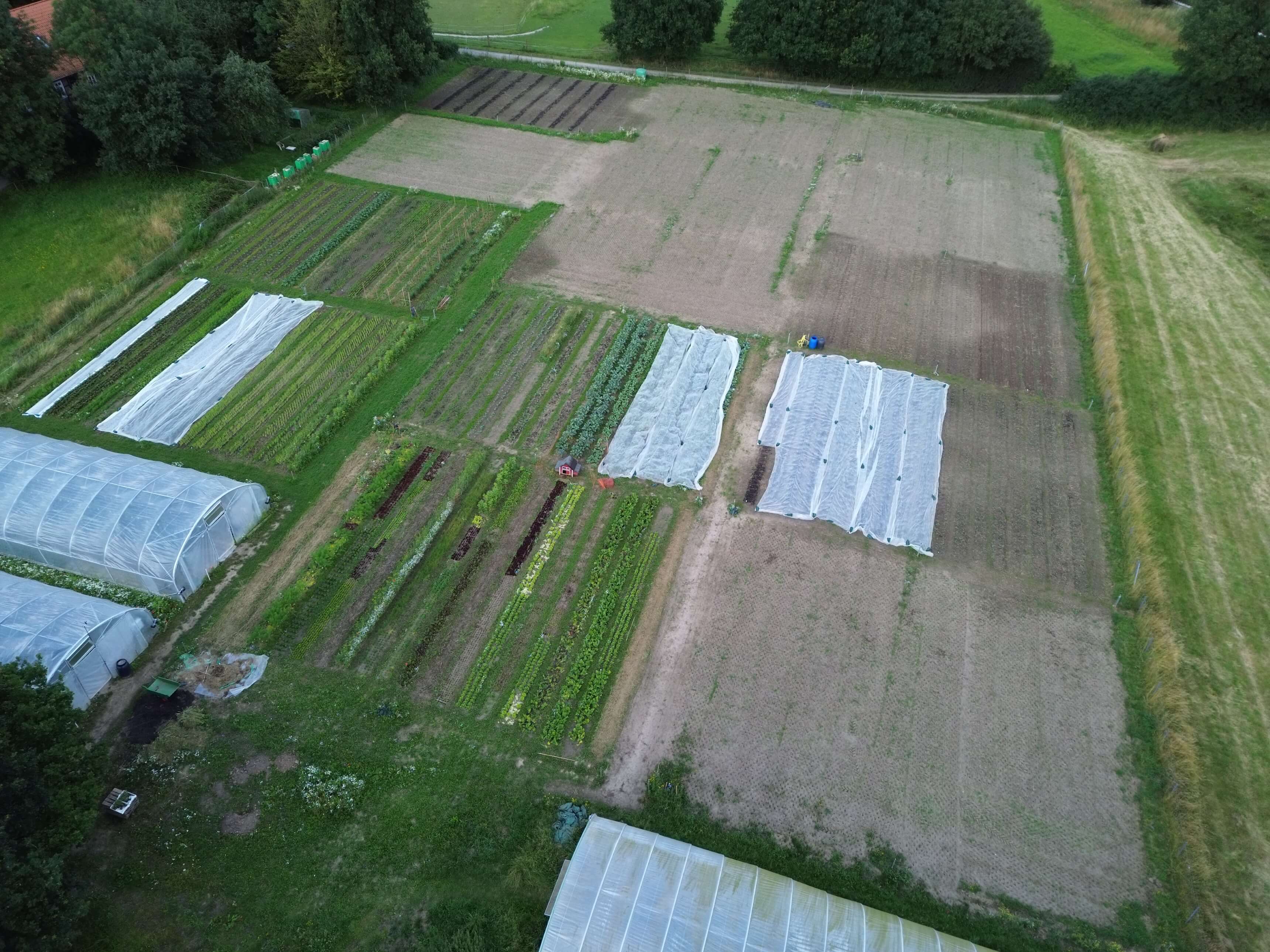 dji_fly_20240707_105222_79_1720342777495_photo_3440.jpg