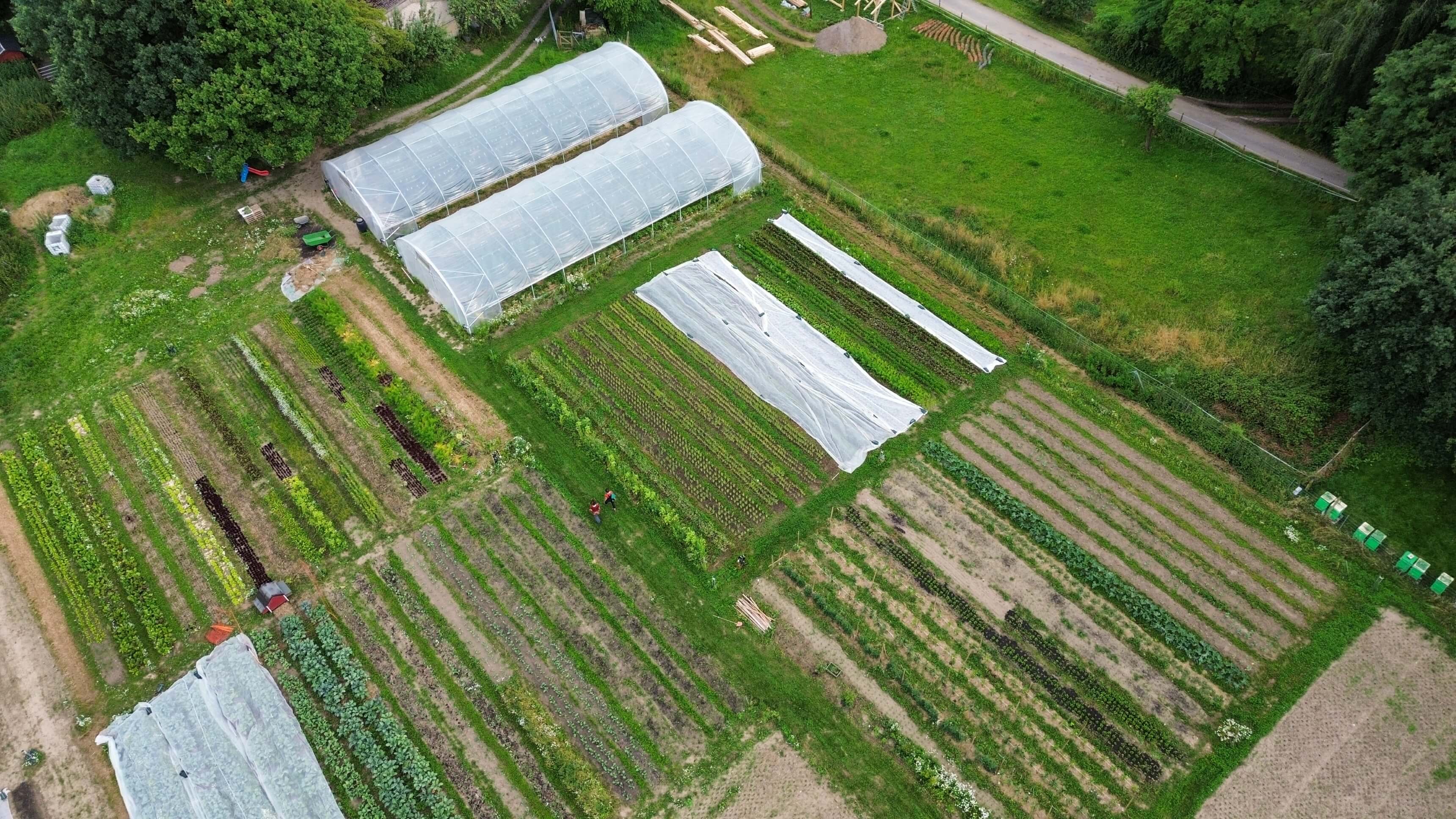 dji_fly_20240708_181842_92_1720455555825_photo_optimized_3440.jpg