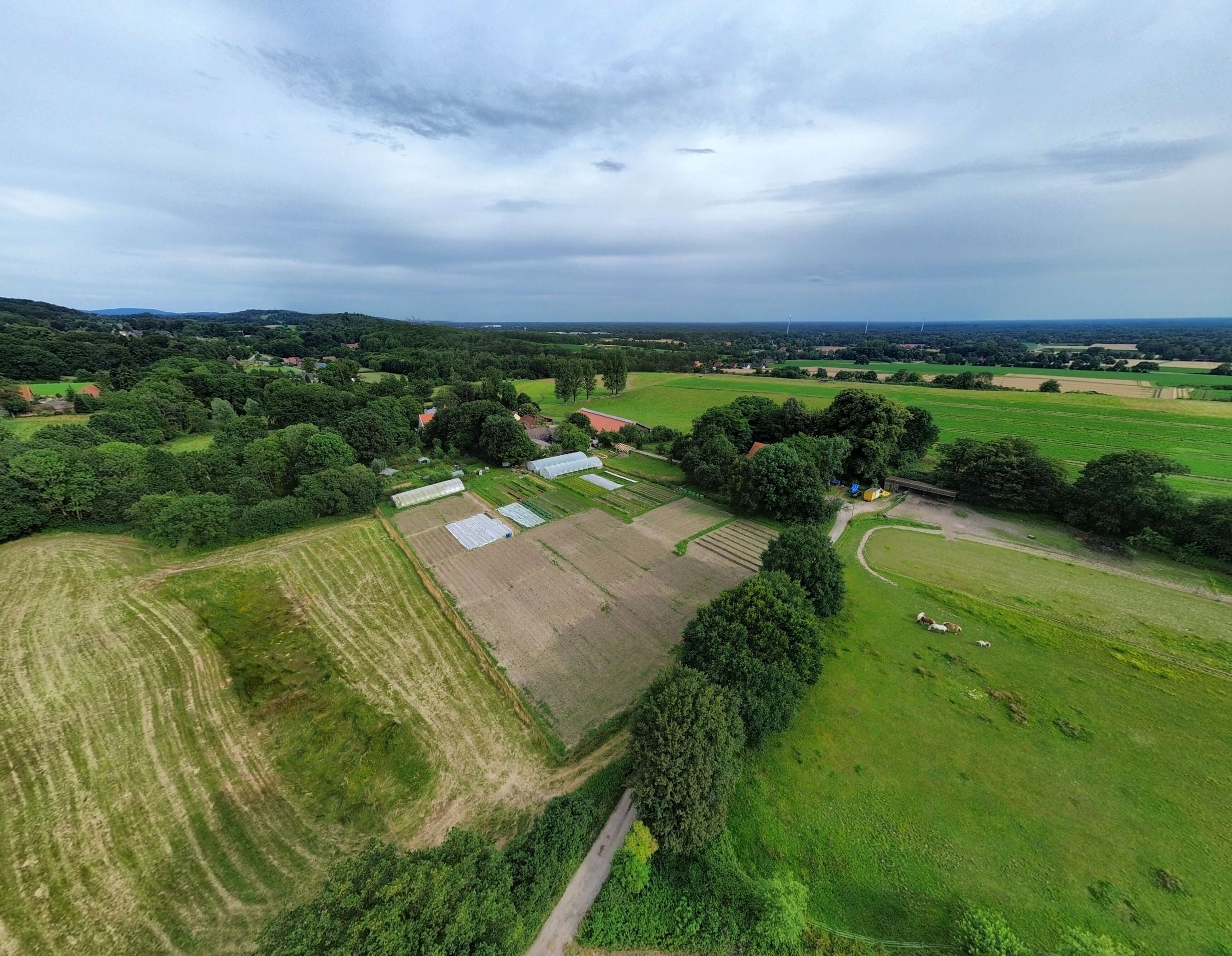 dji_fly_20240708_182306_97_1720456305569_pano_optimized_3440.jpg