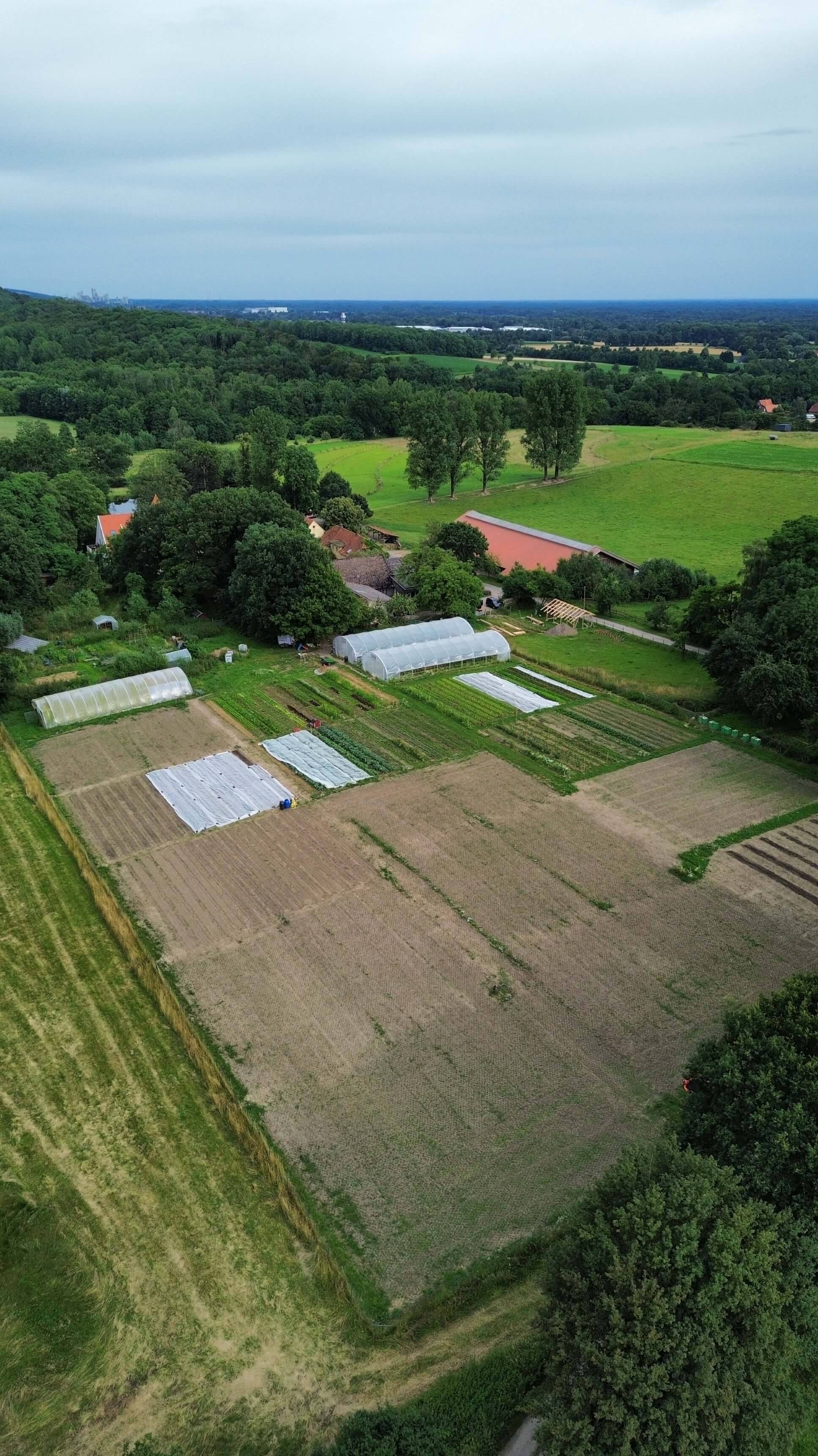 dji_fly_20240708_182456_100_1720456302911_photo_optimized_3440.jpg