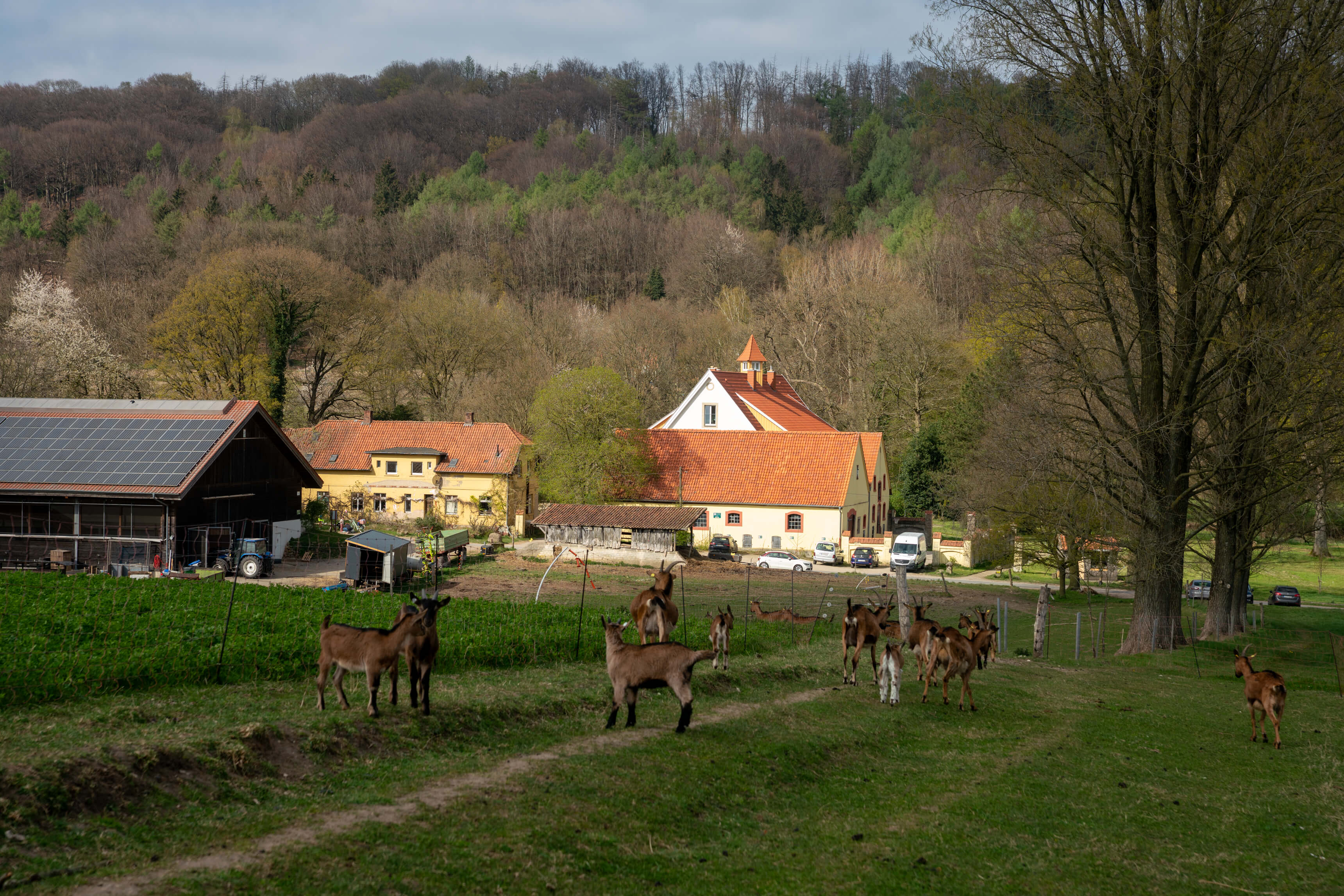 DSC08666.jpg