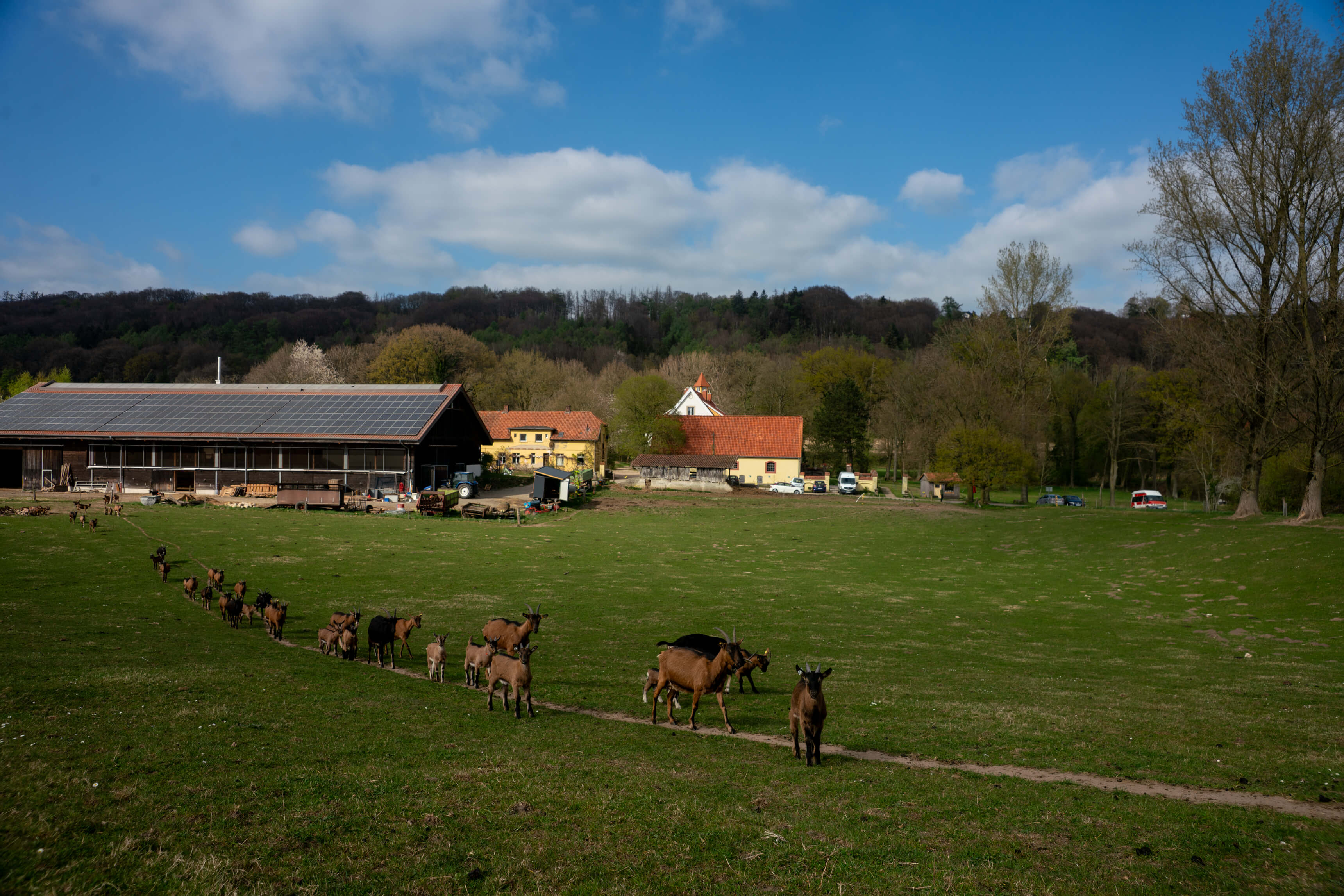 DSC08685.jpg