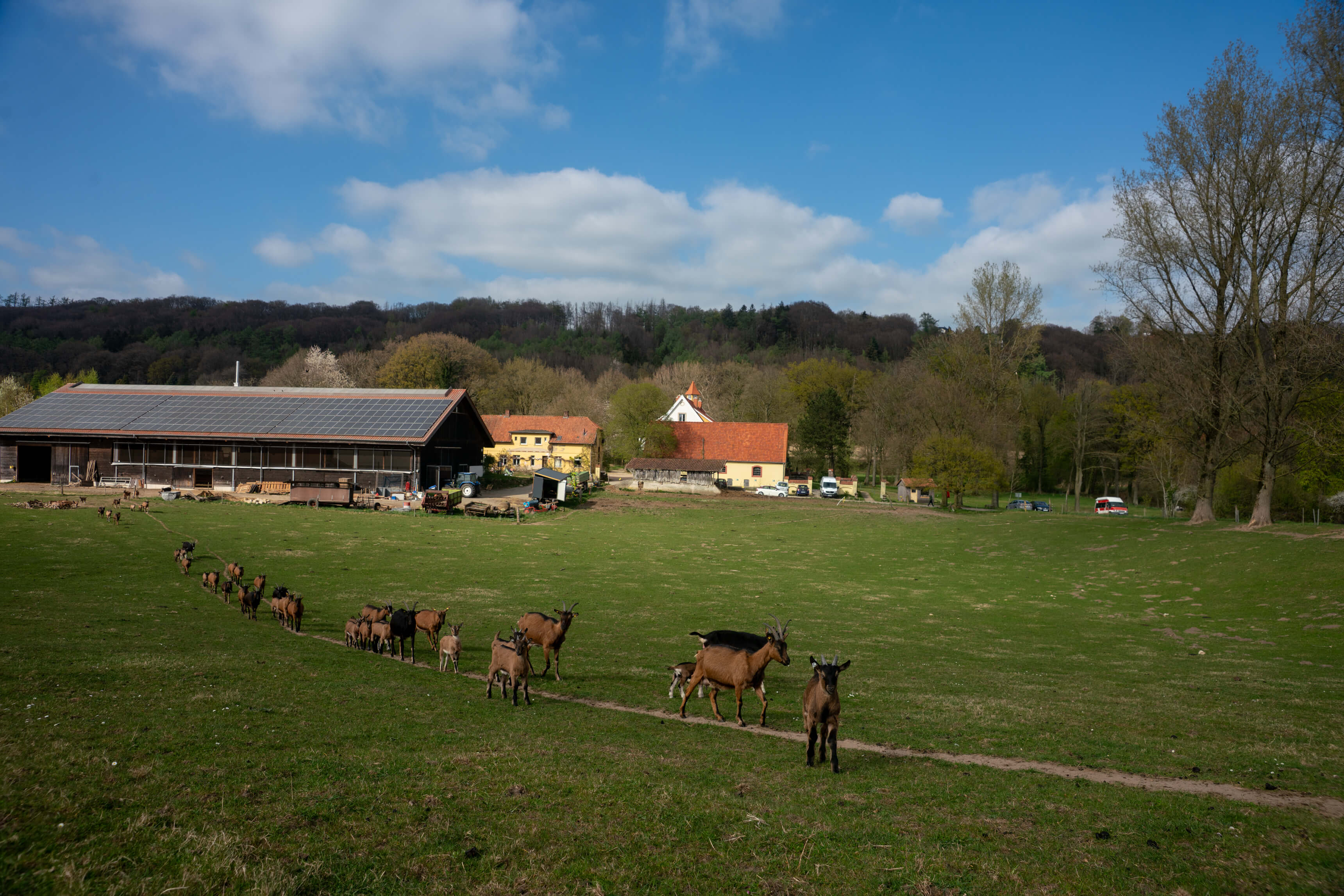 DSC08686.jpg