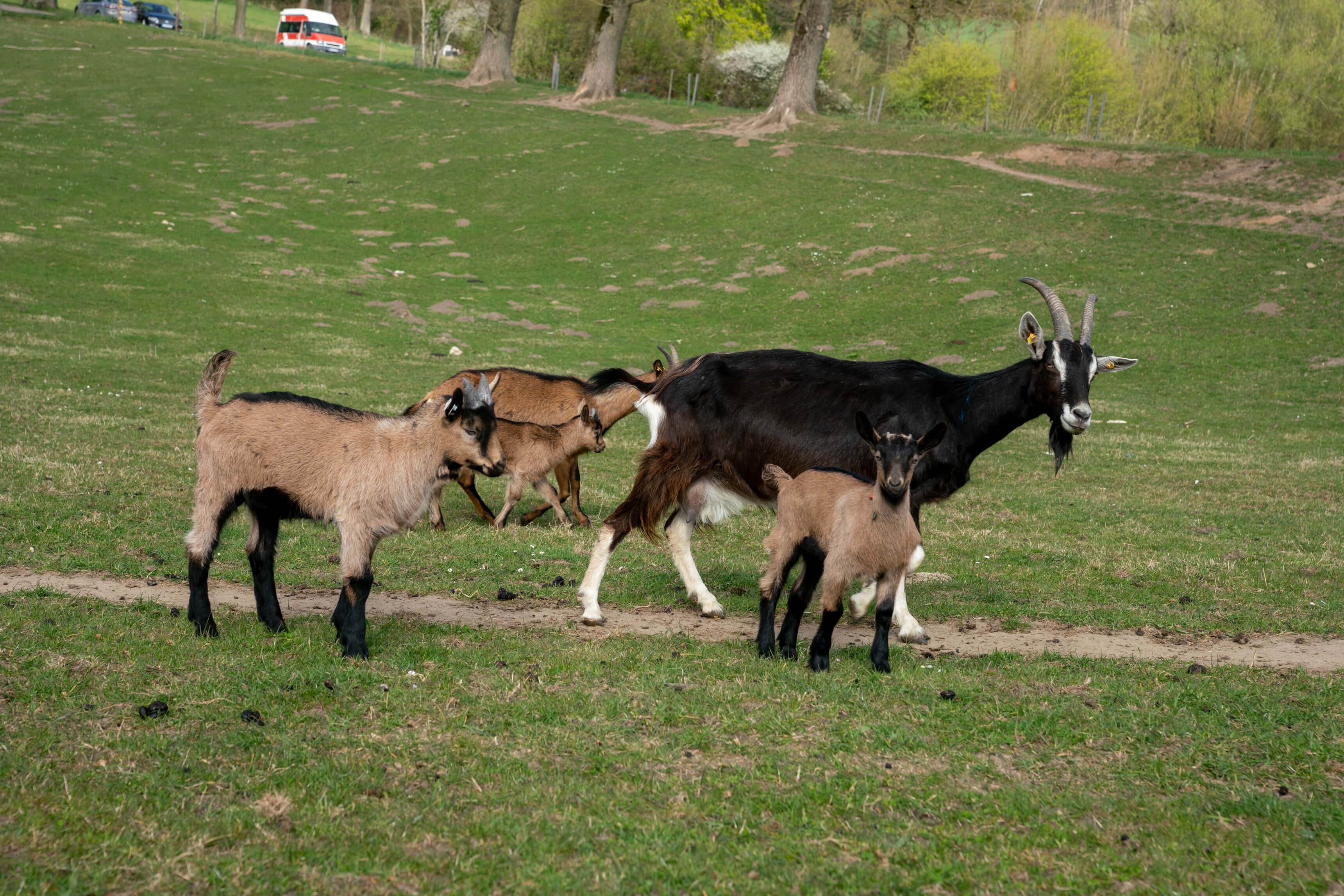 DSC08698.jpg