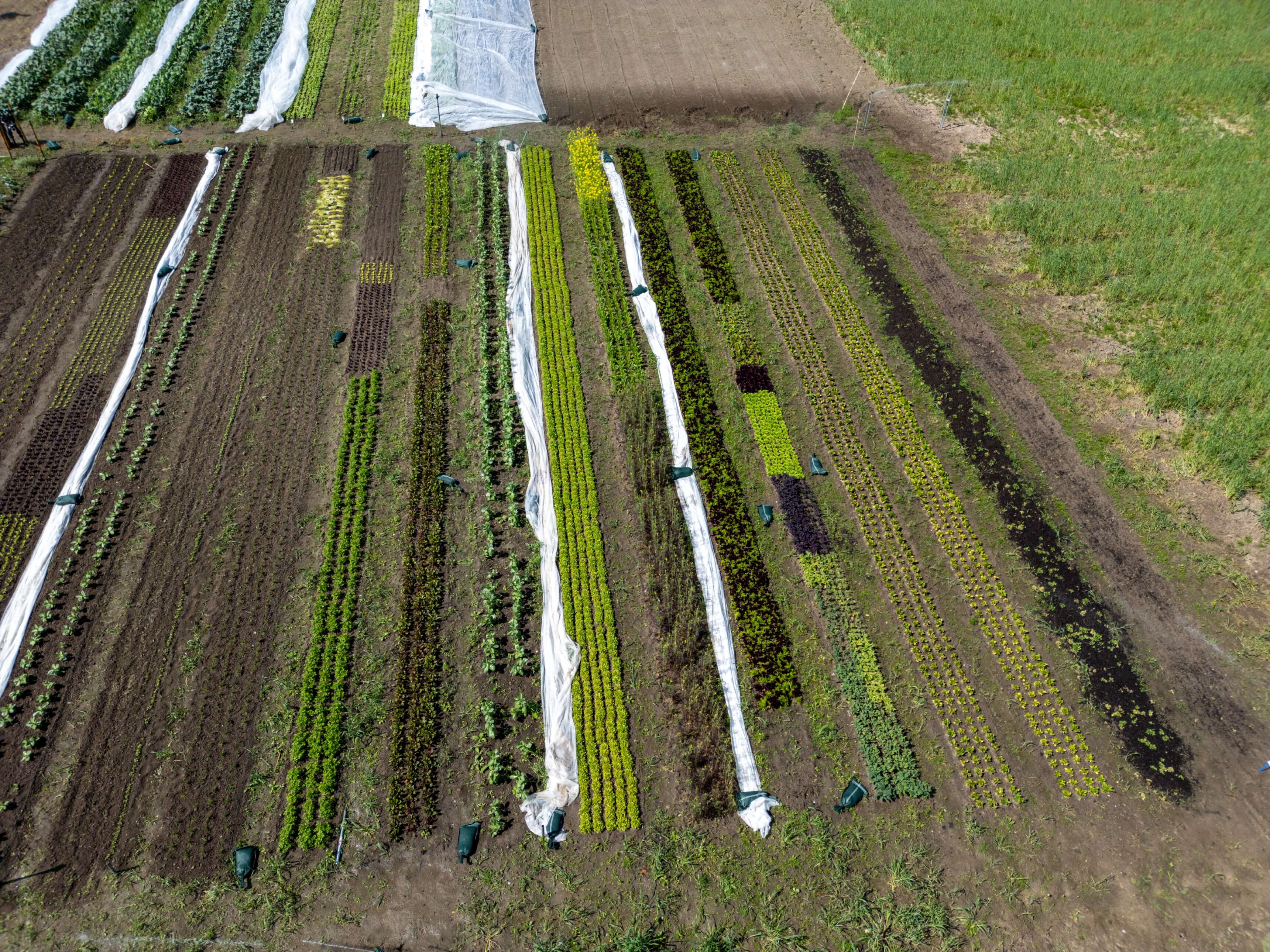 DJI_0013.jpg