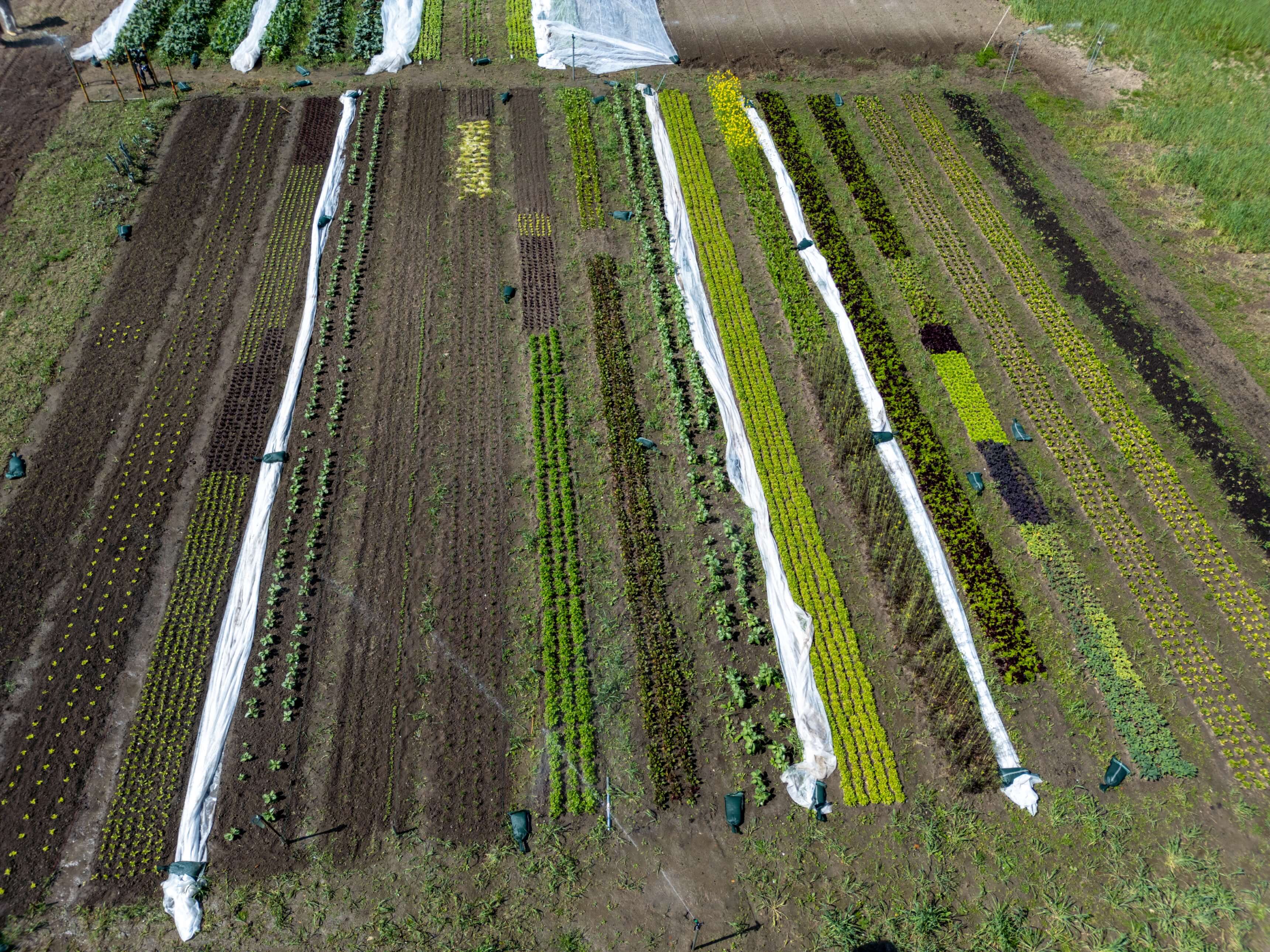 DJI_0014.jpg