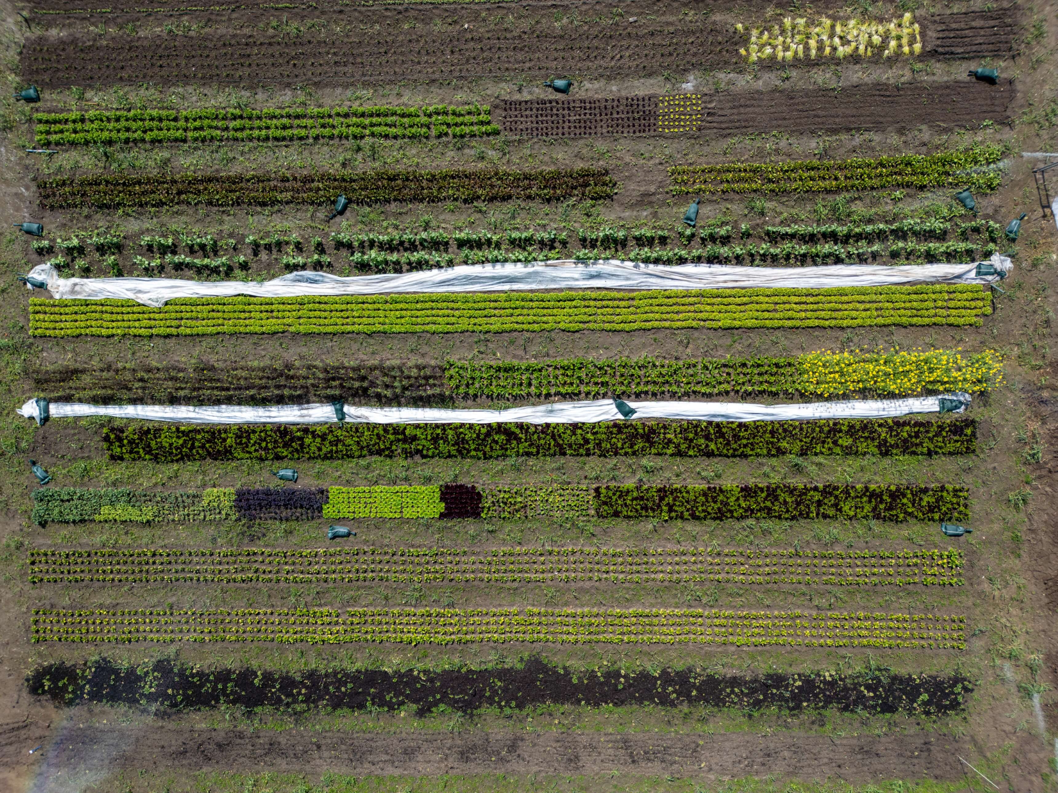 DJI_0015.jpg