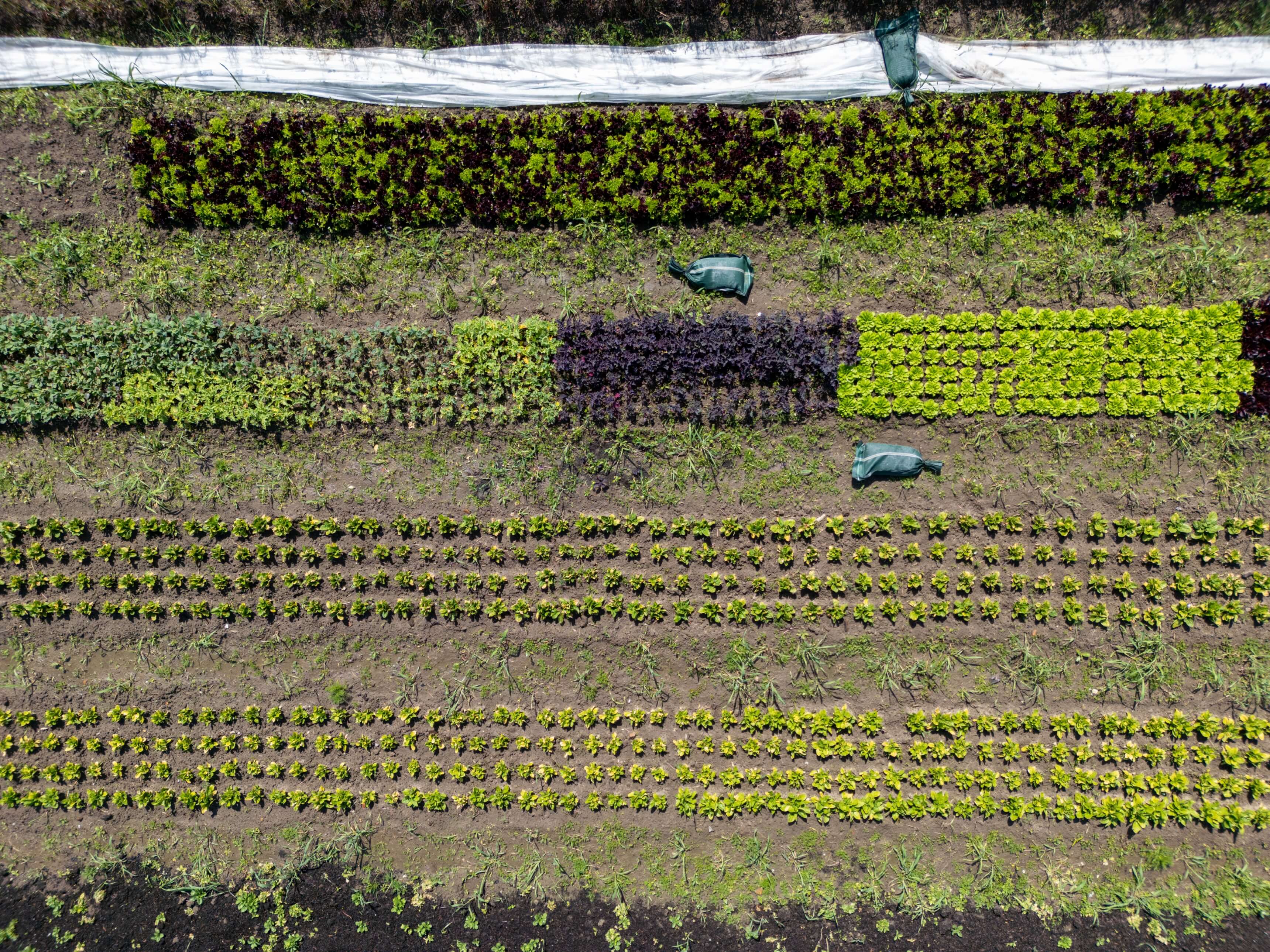 DJI_0016.jpg