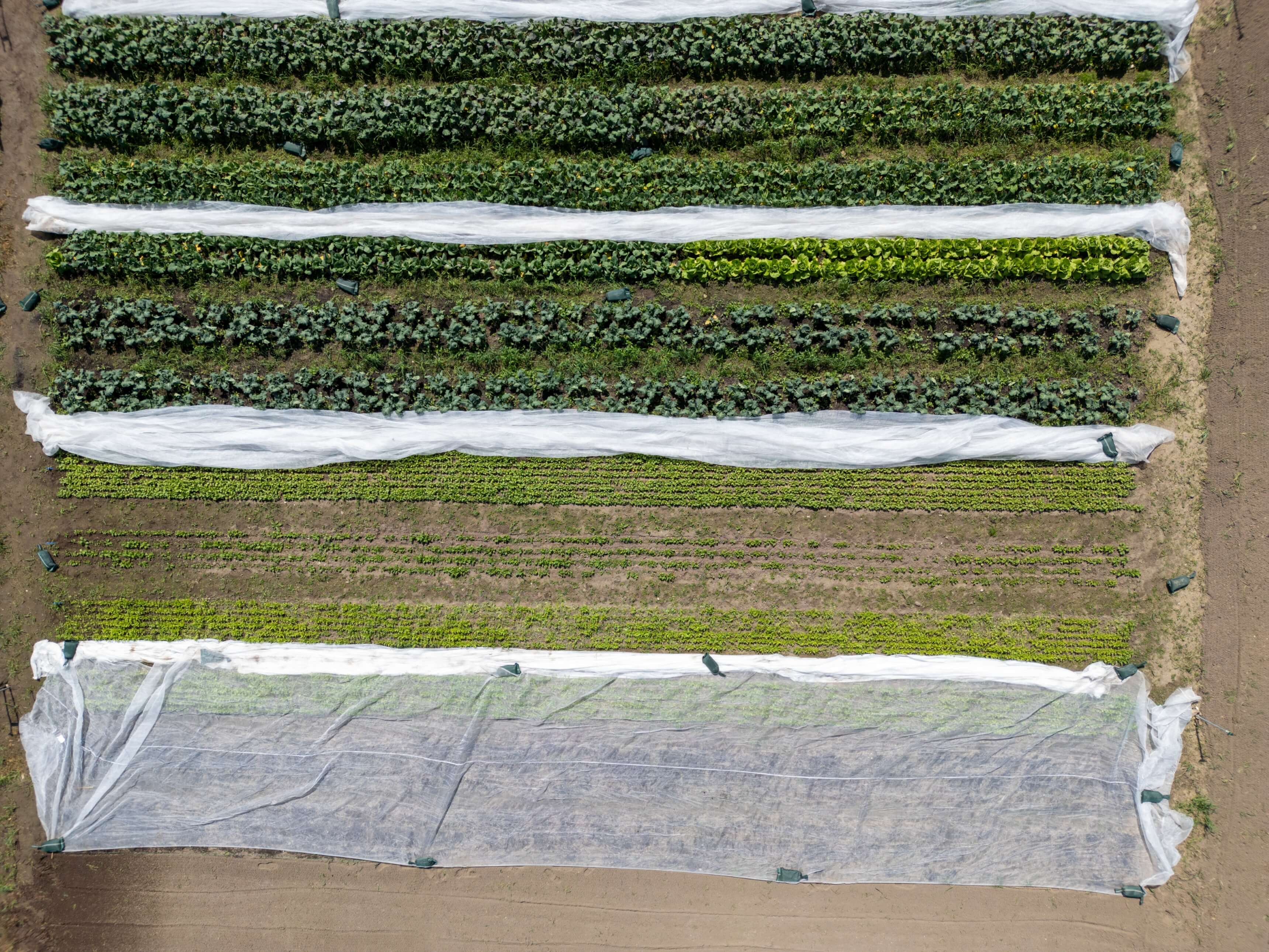 DJI_0019.jpg