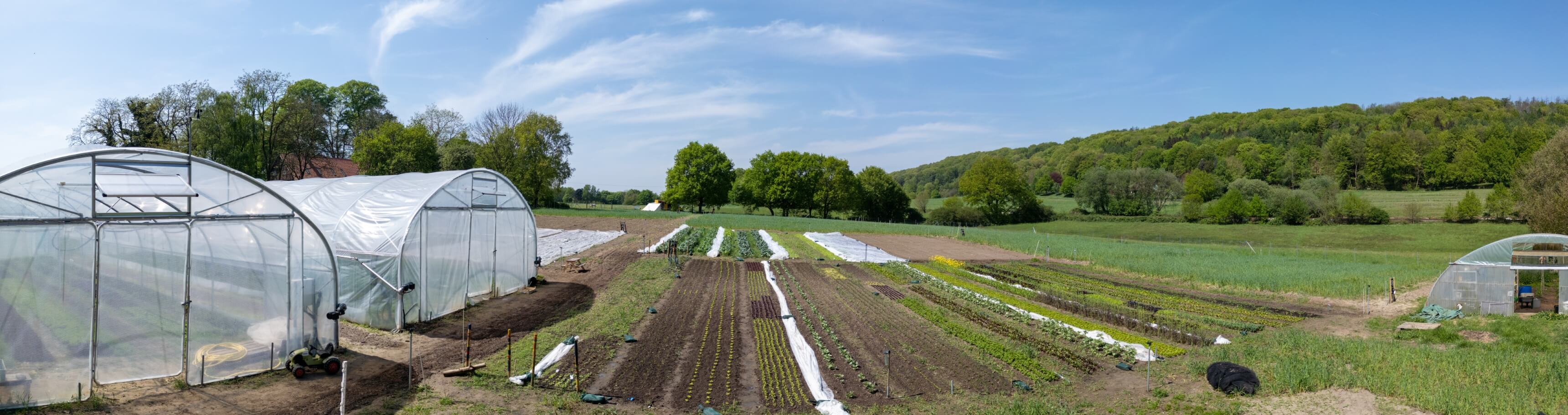 DJI_0045-Pano.jpg