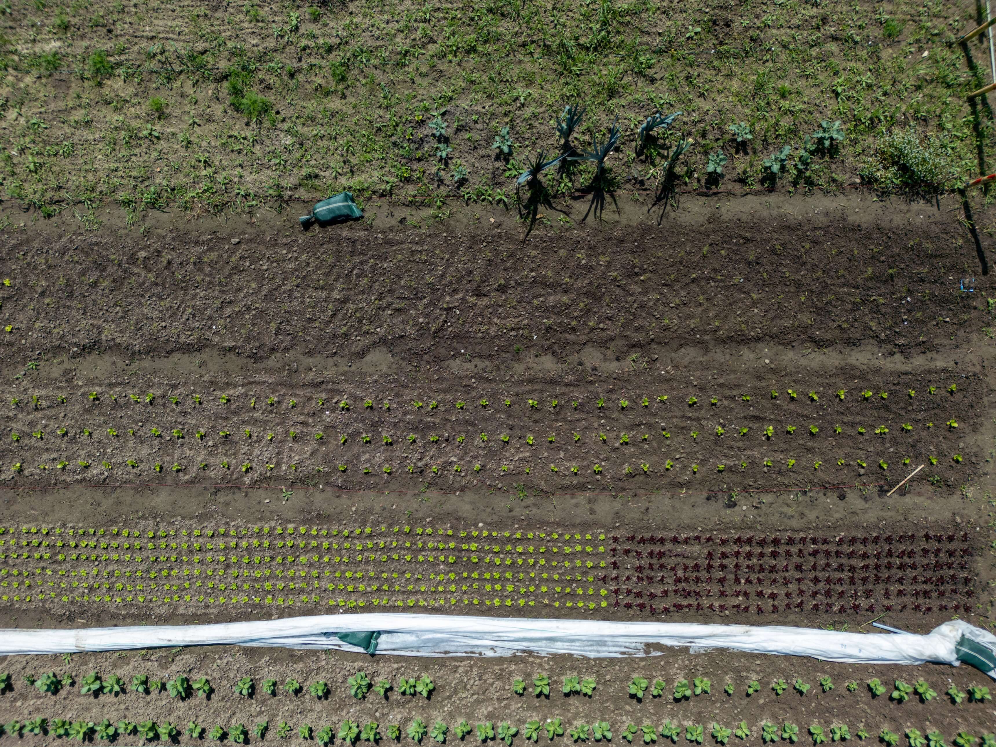 DJI_0054.jpg