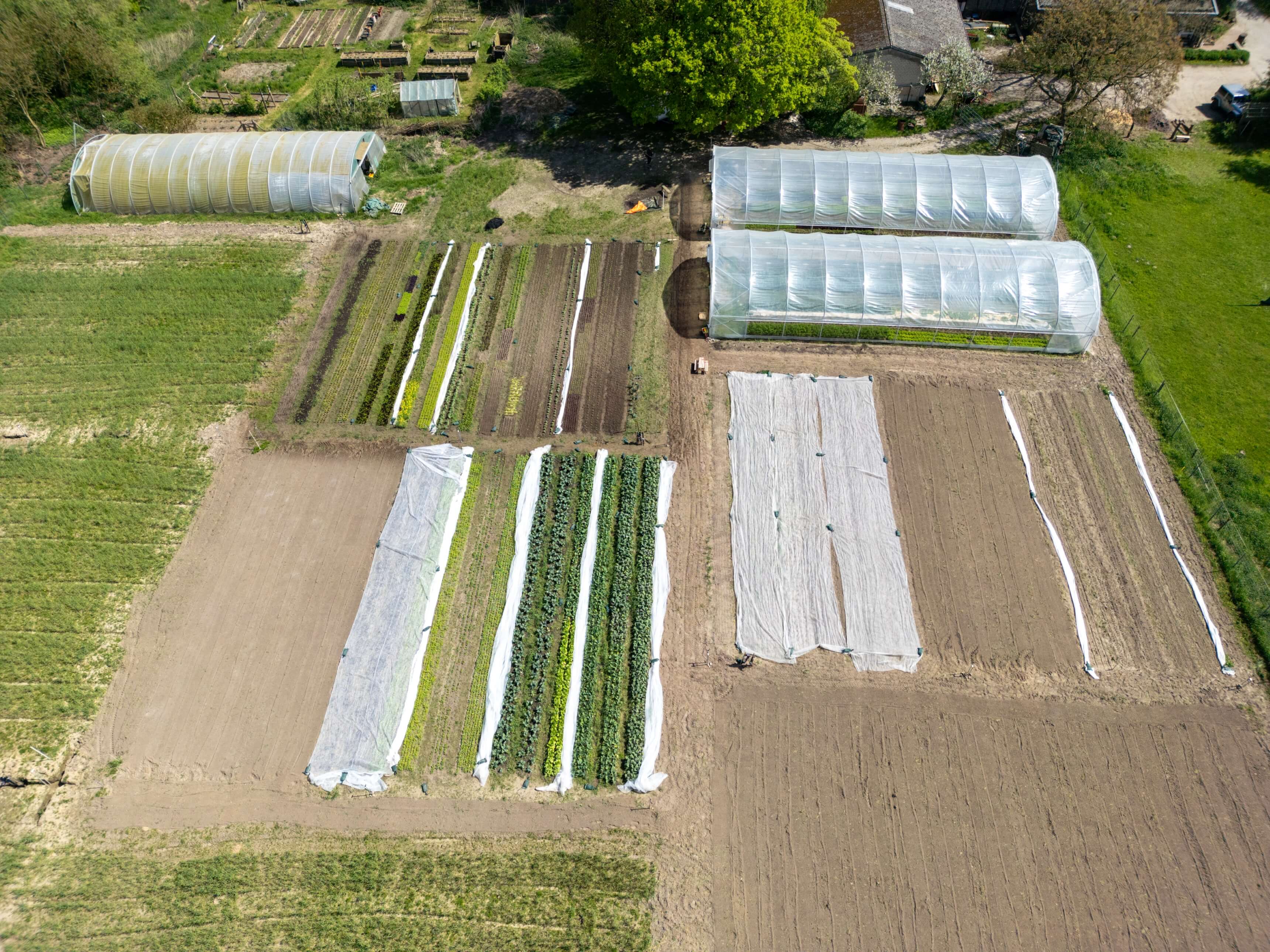 DJI_0056.jpg