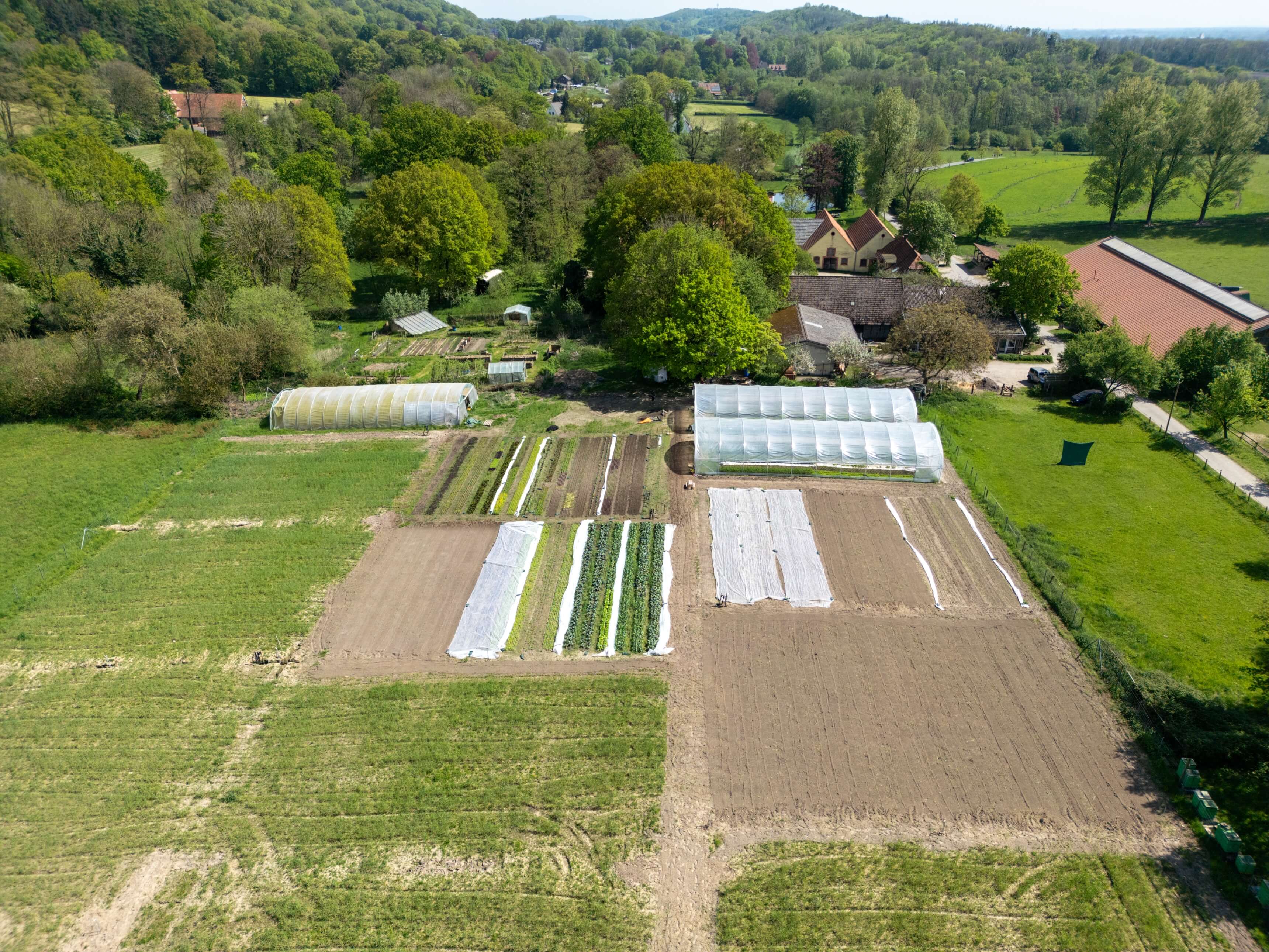 DJI_0057.jpg