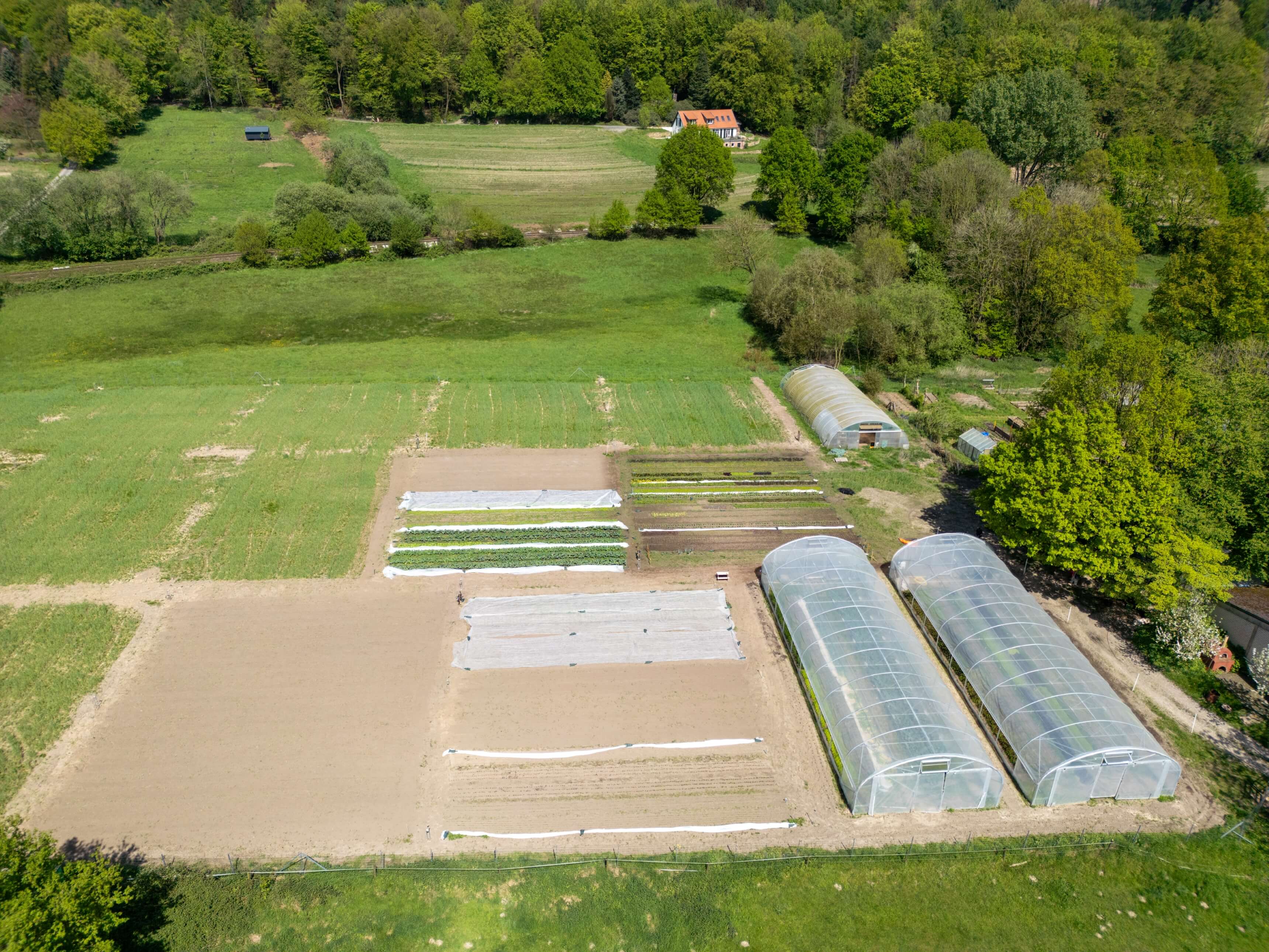 DJI_0058.jpg