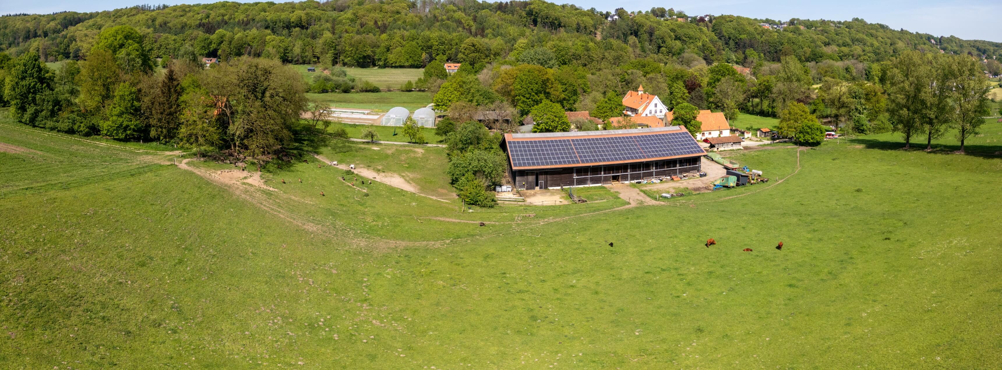 DJI_0067-Pano.jpg