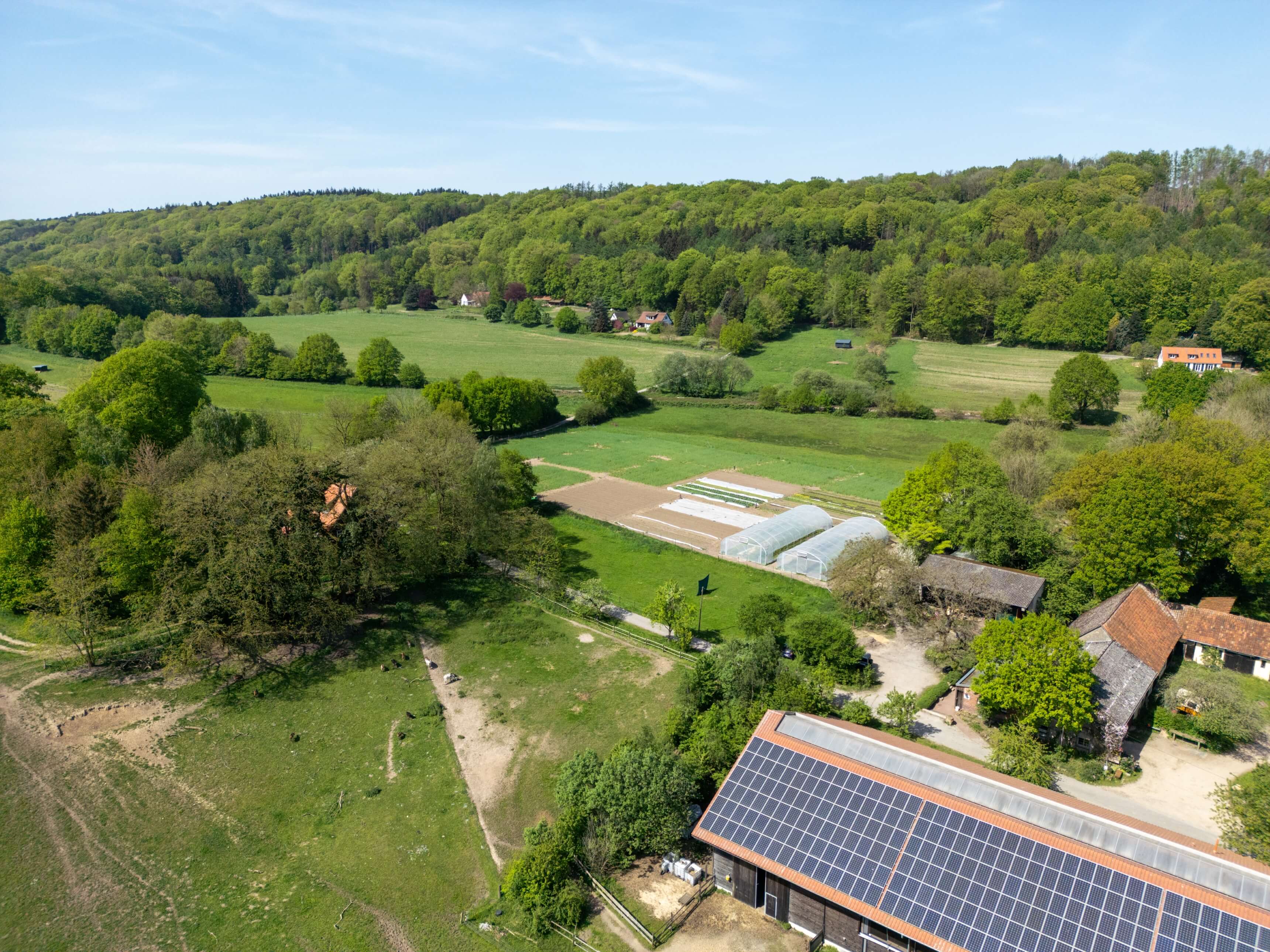 DJI_0072.jpg