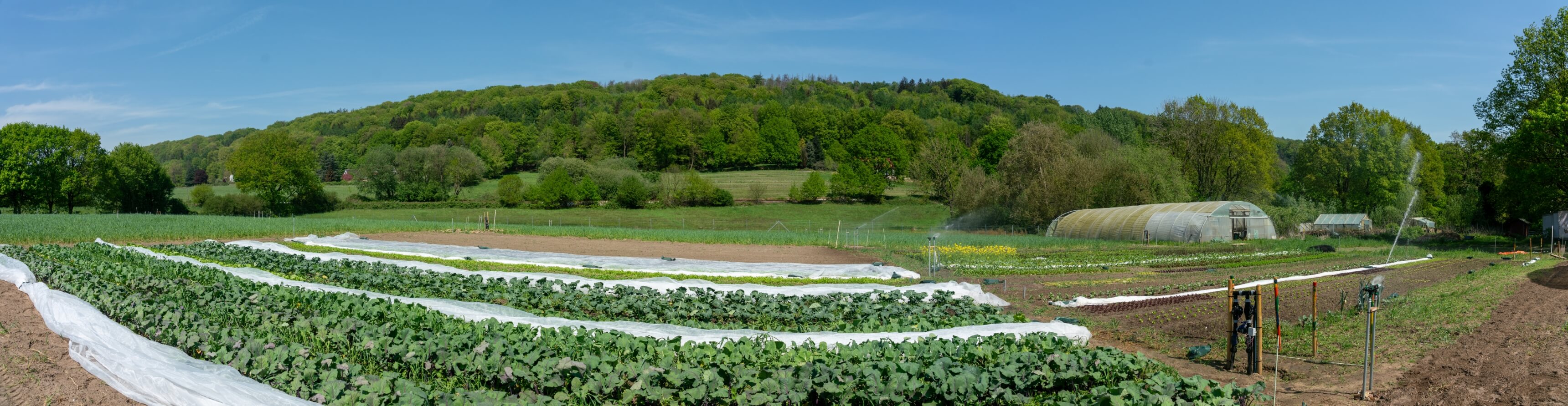 DSC03624-Pano.jpg