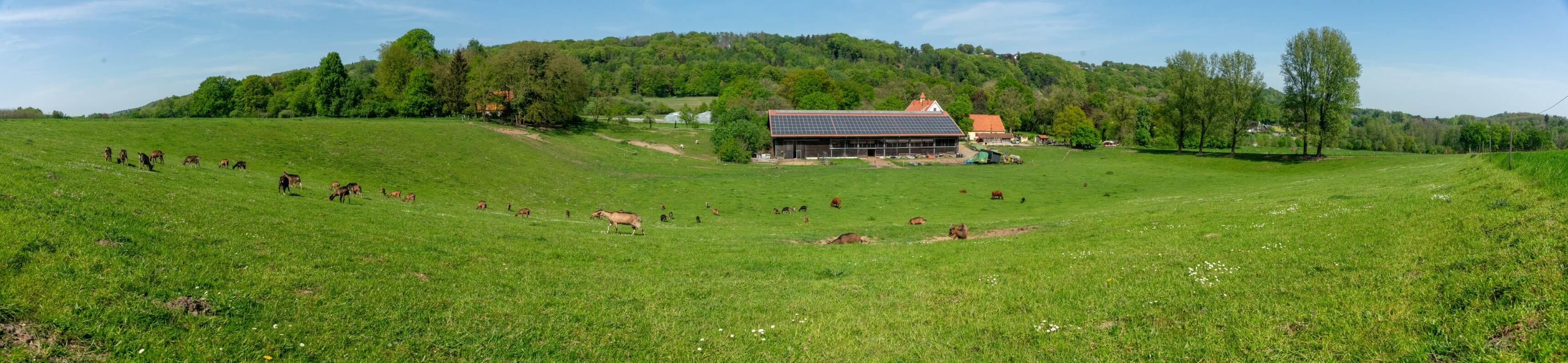 DSC03793-Pano.jpg