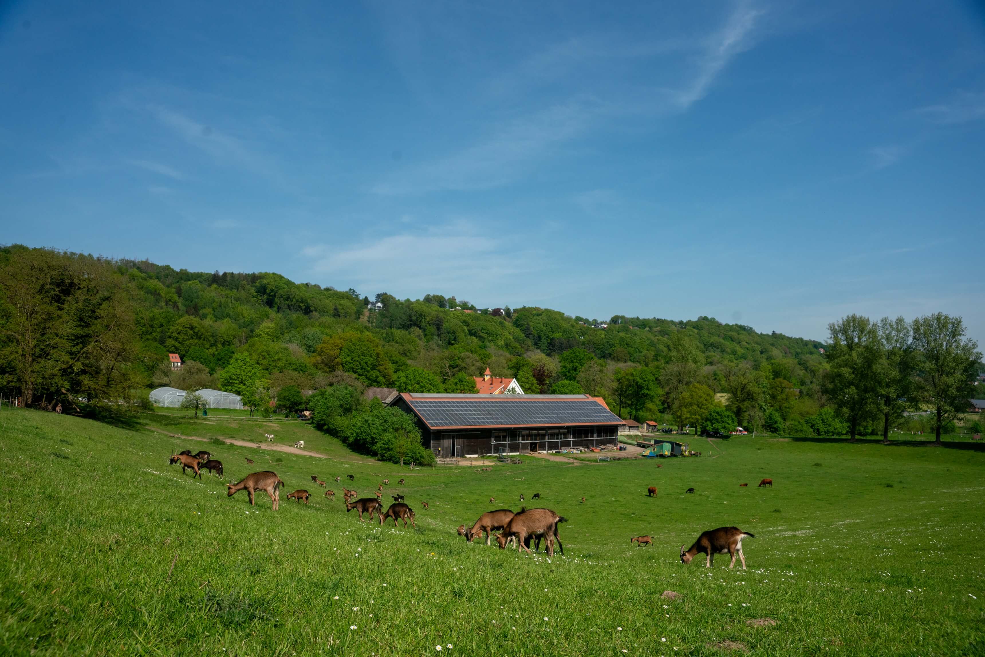 DSC03810-2.jpg
