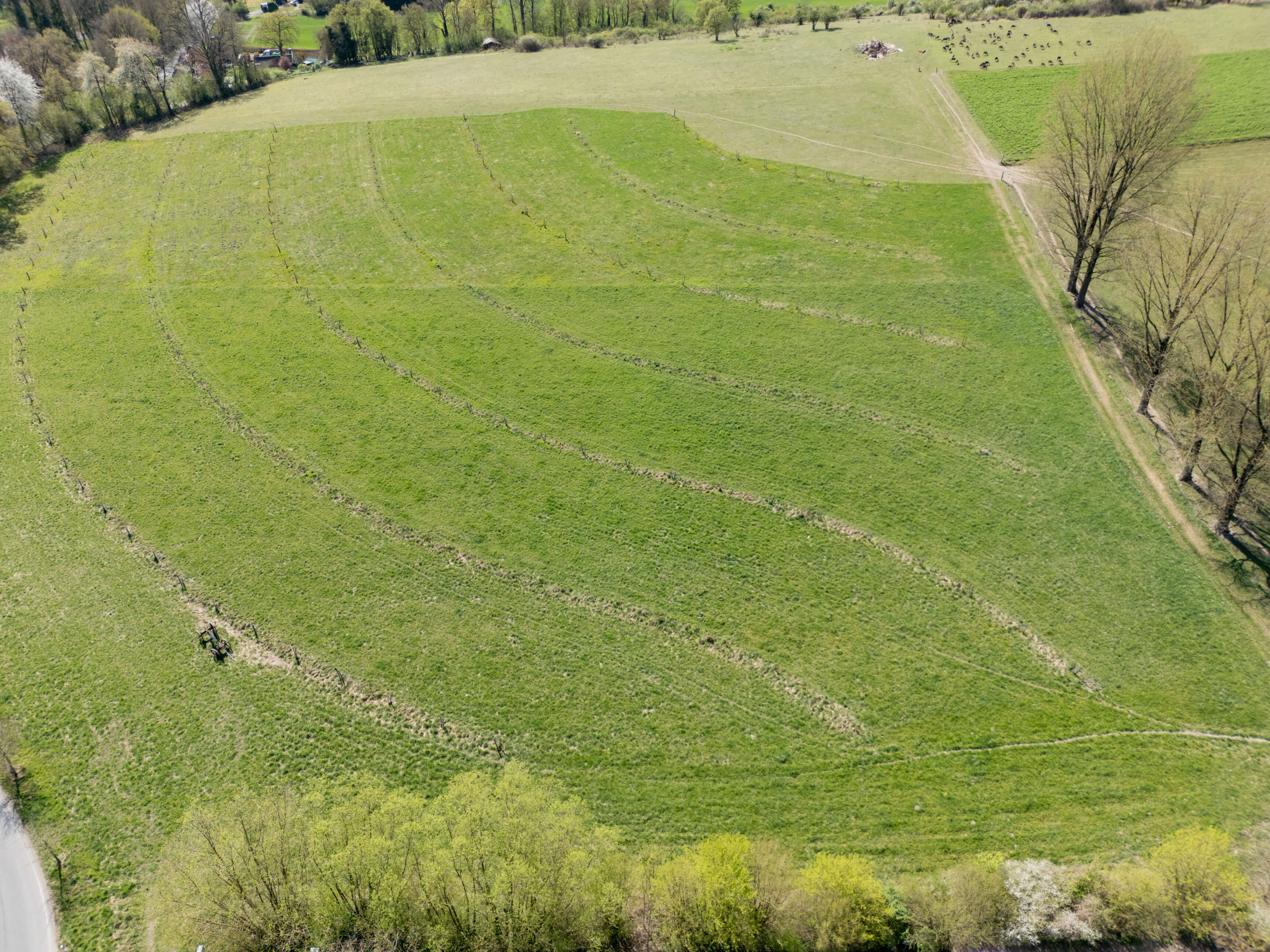 DJI_0002-2.jpg