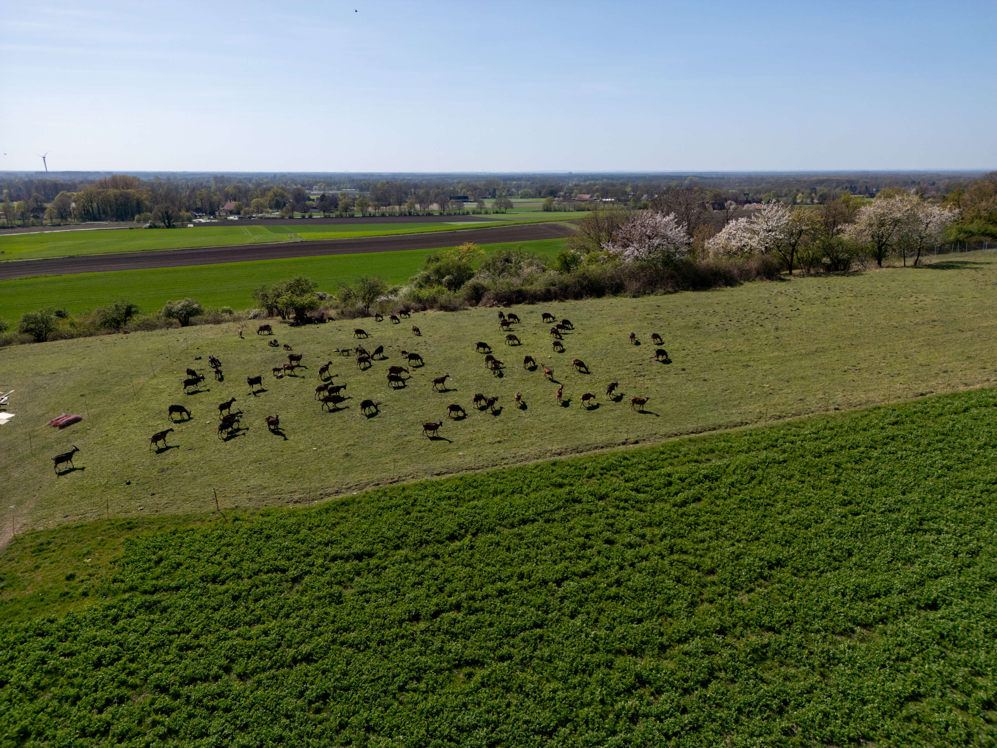 DJI_0003-2.jpg