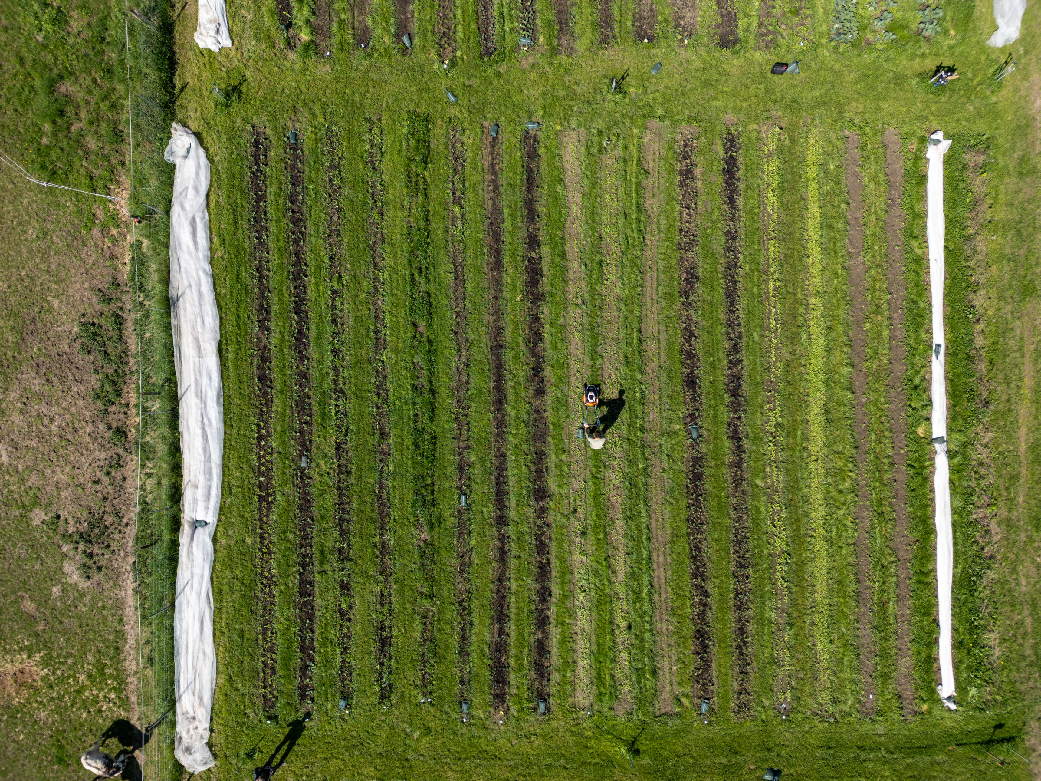 DJI_0004.jpg