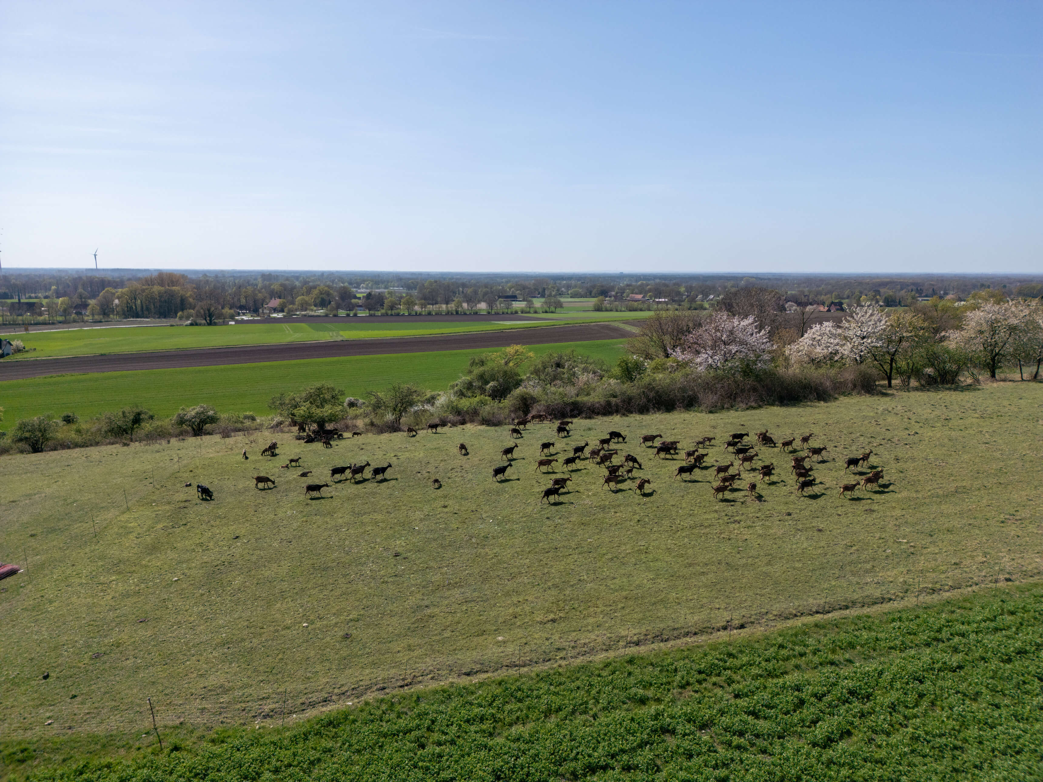 DJI_0005-2.jpg