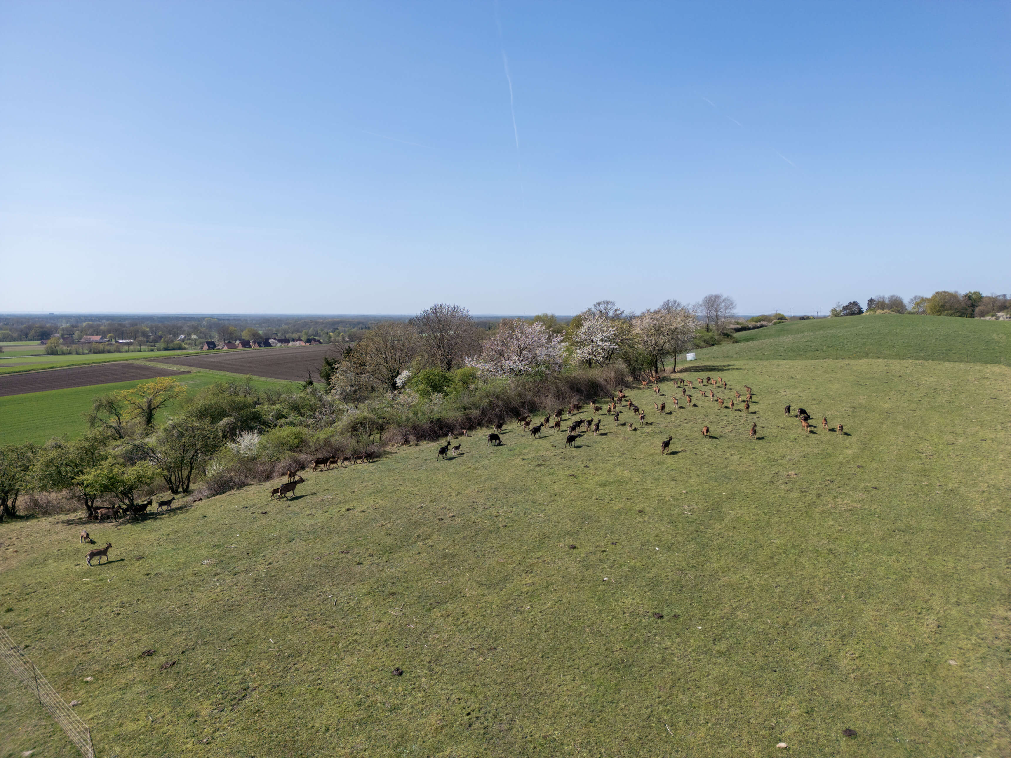 DJI_0006-2.jpg