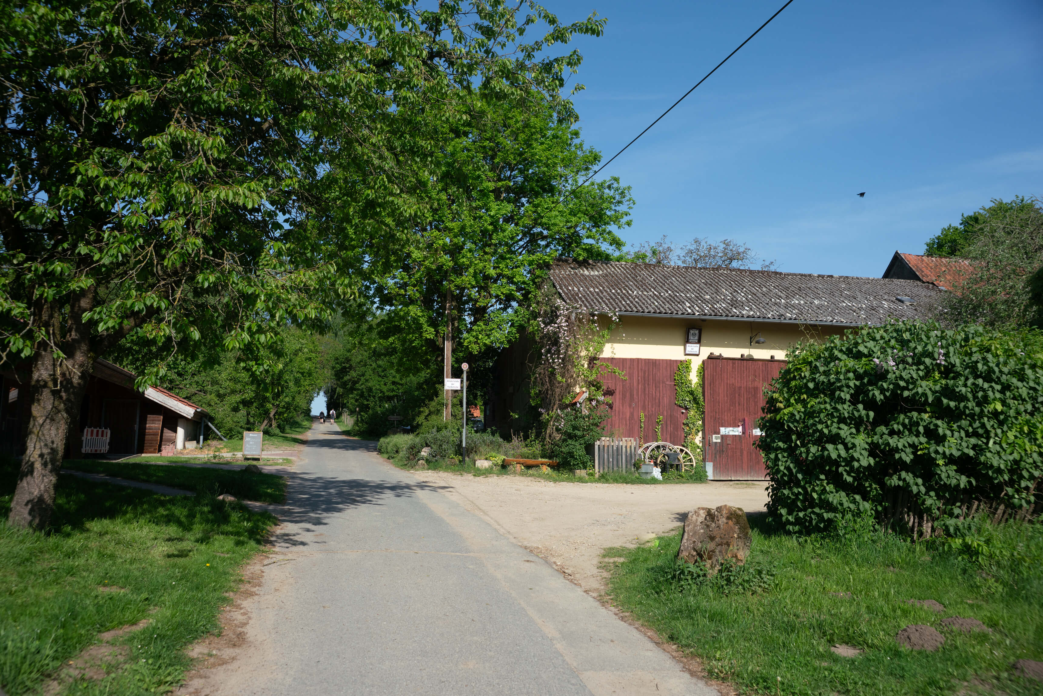 DSC09049.jpg