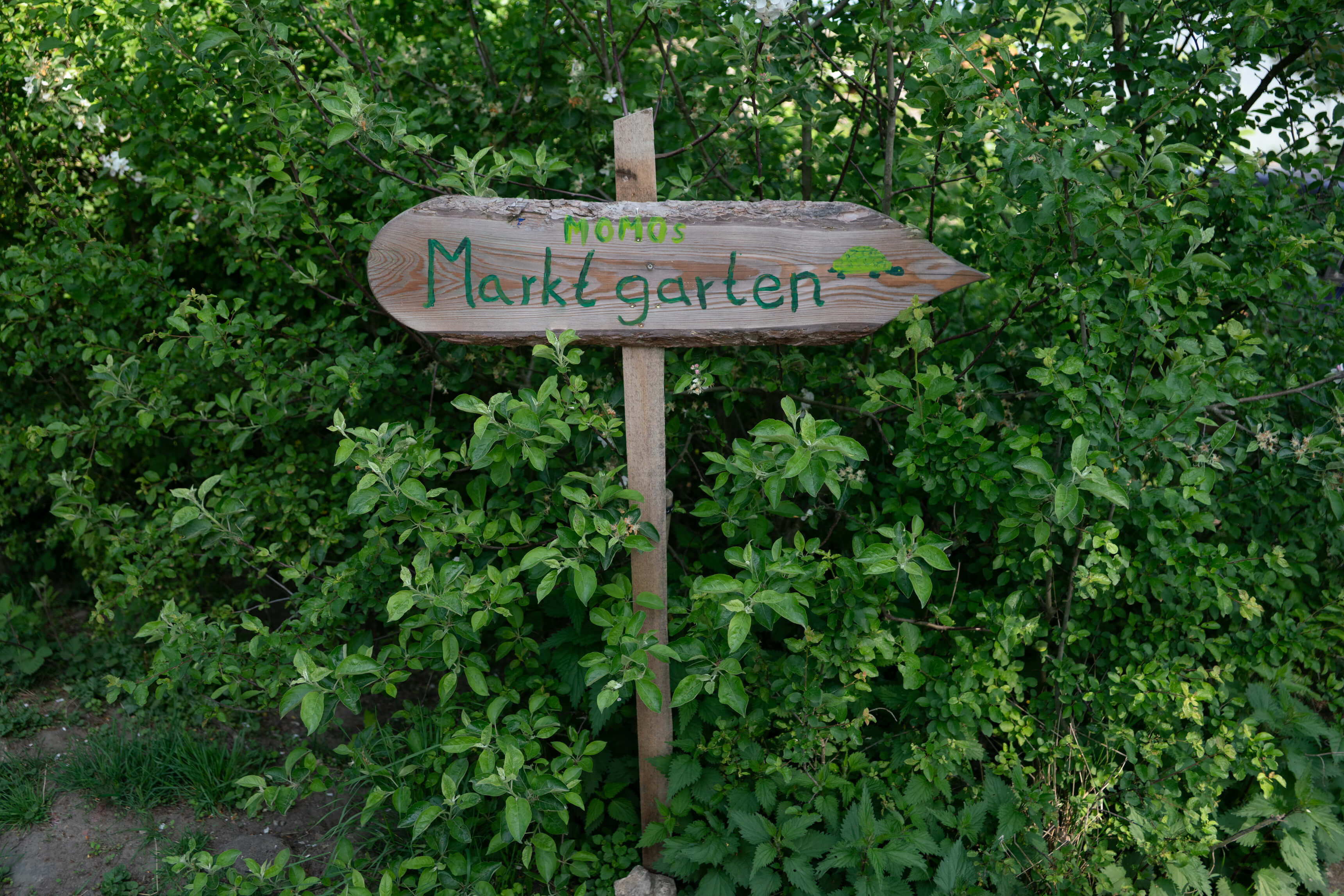 DSC09051.jpg