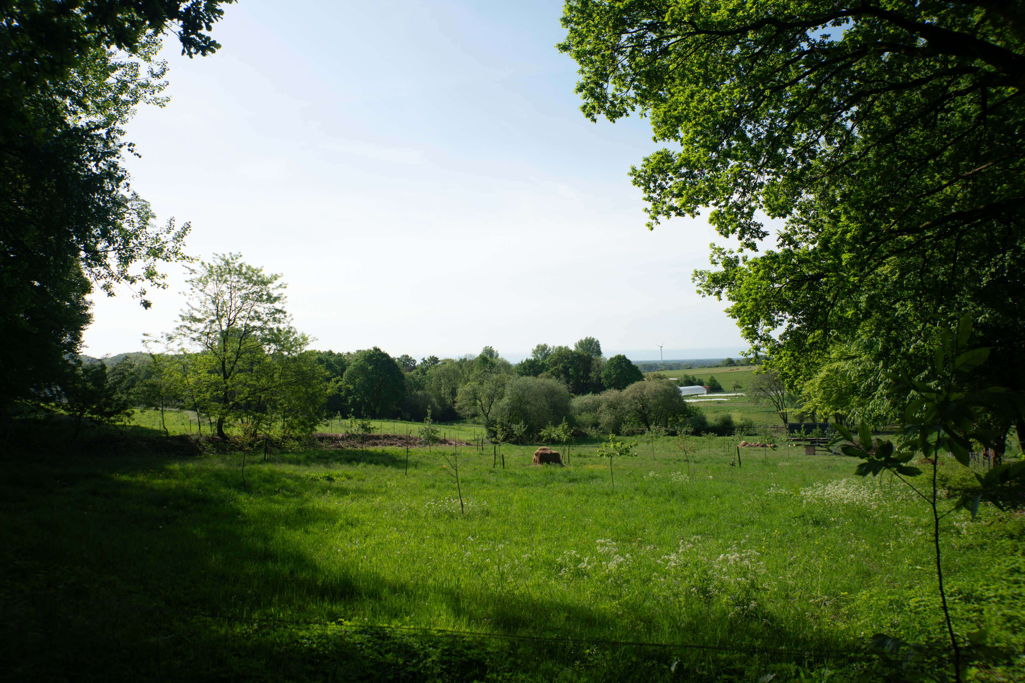 DSC09054.jpg