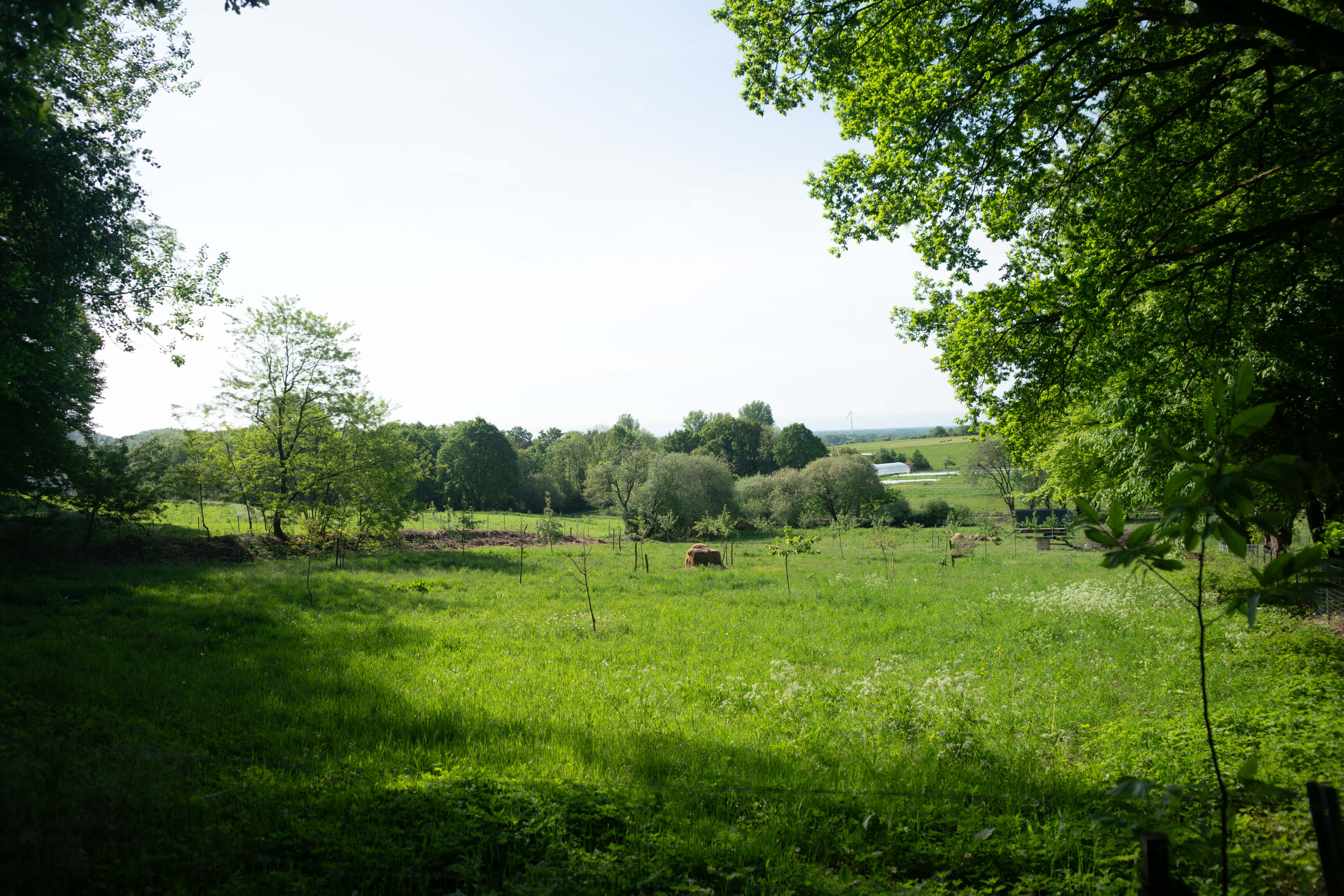 DSC09055.jpg