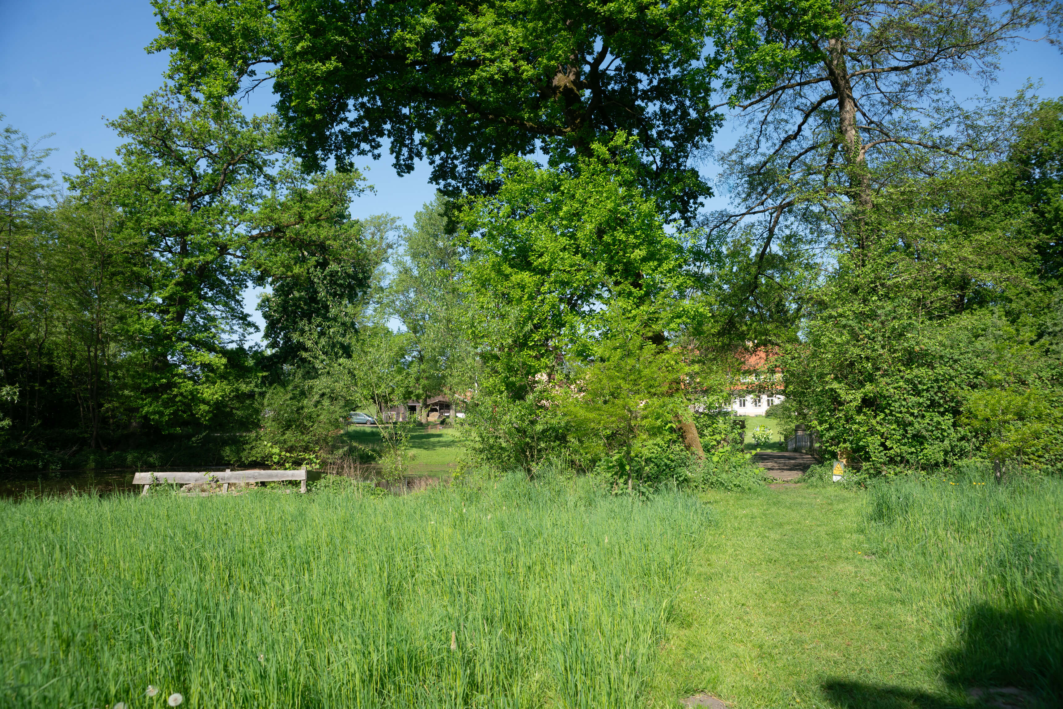 DSC09068.jpg