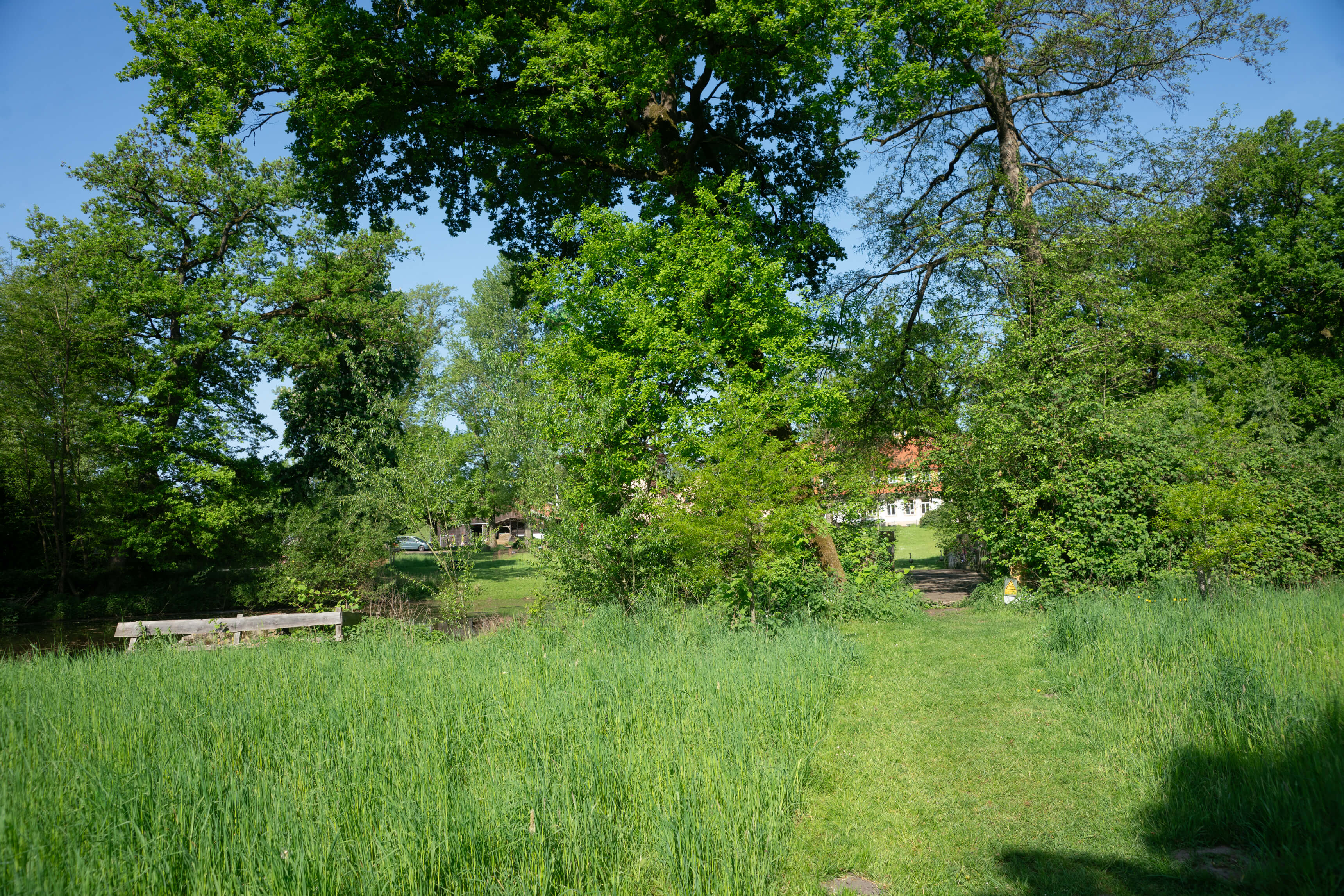 DSC09069.jpg