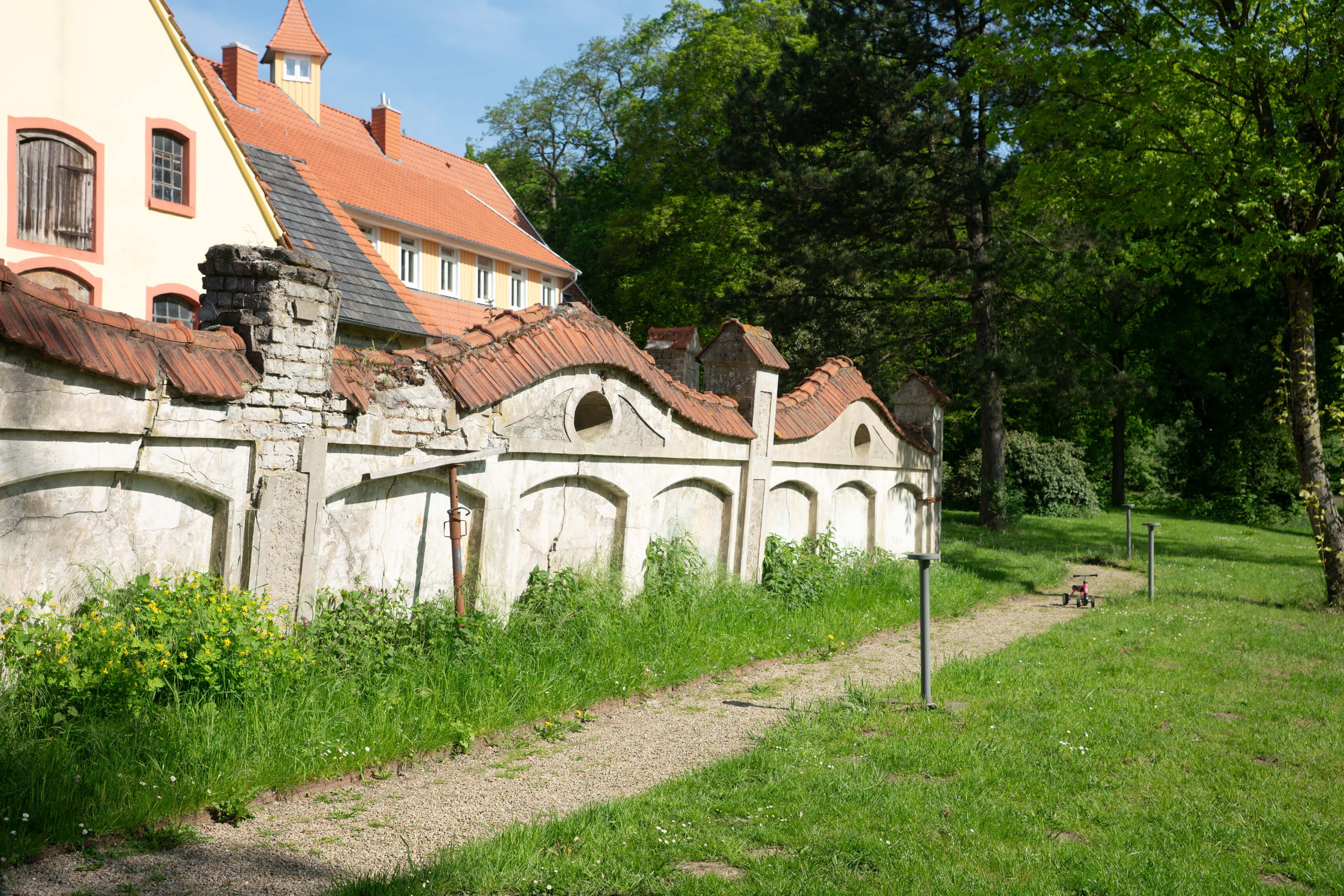 DSC09075.jpg