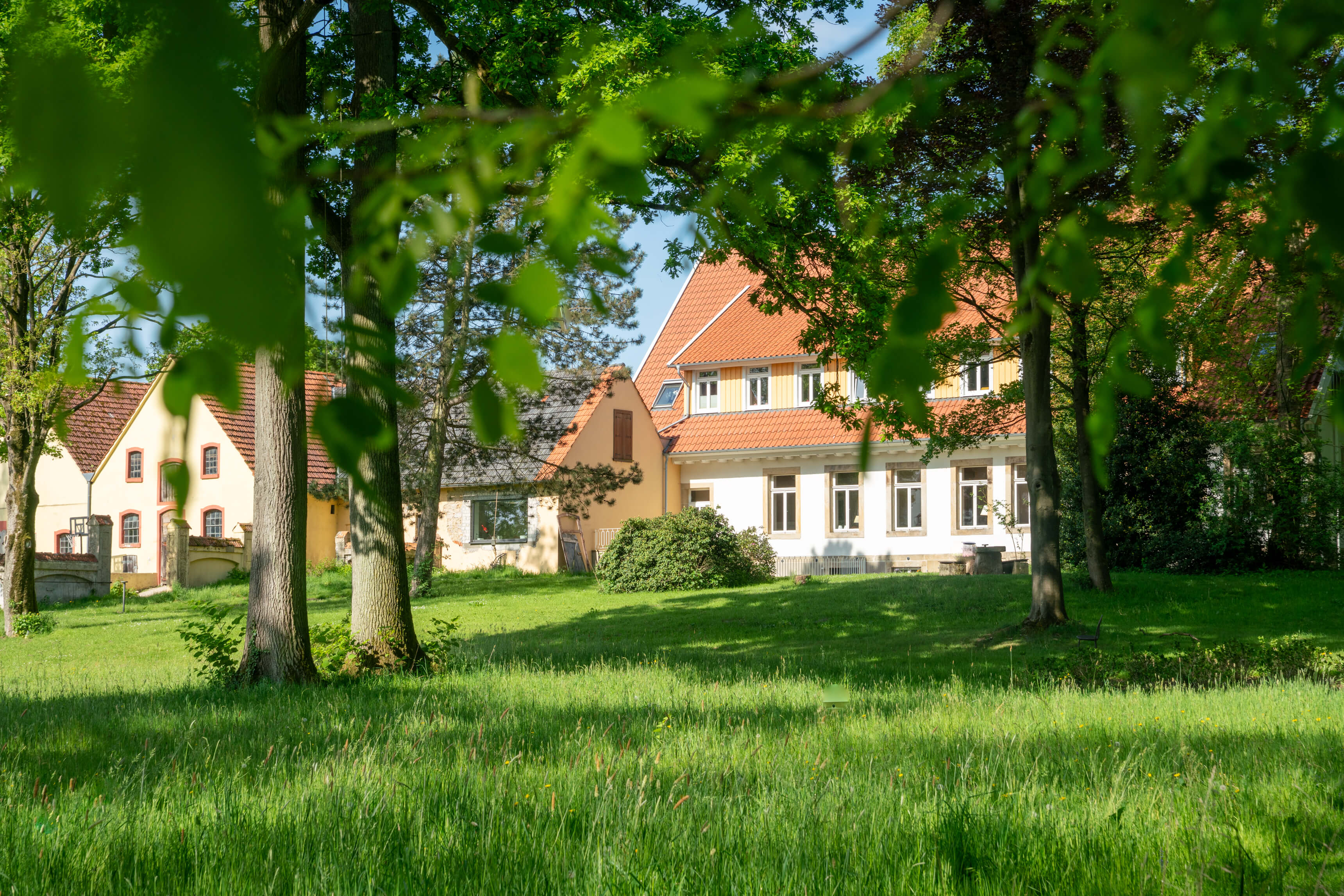DSC09081.jpg