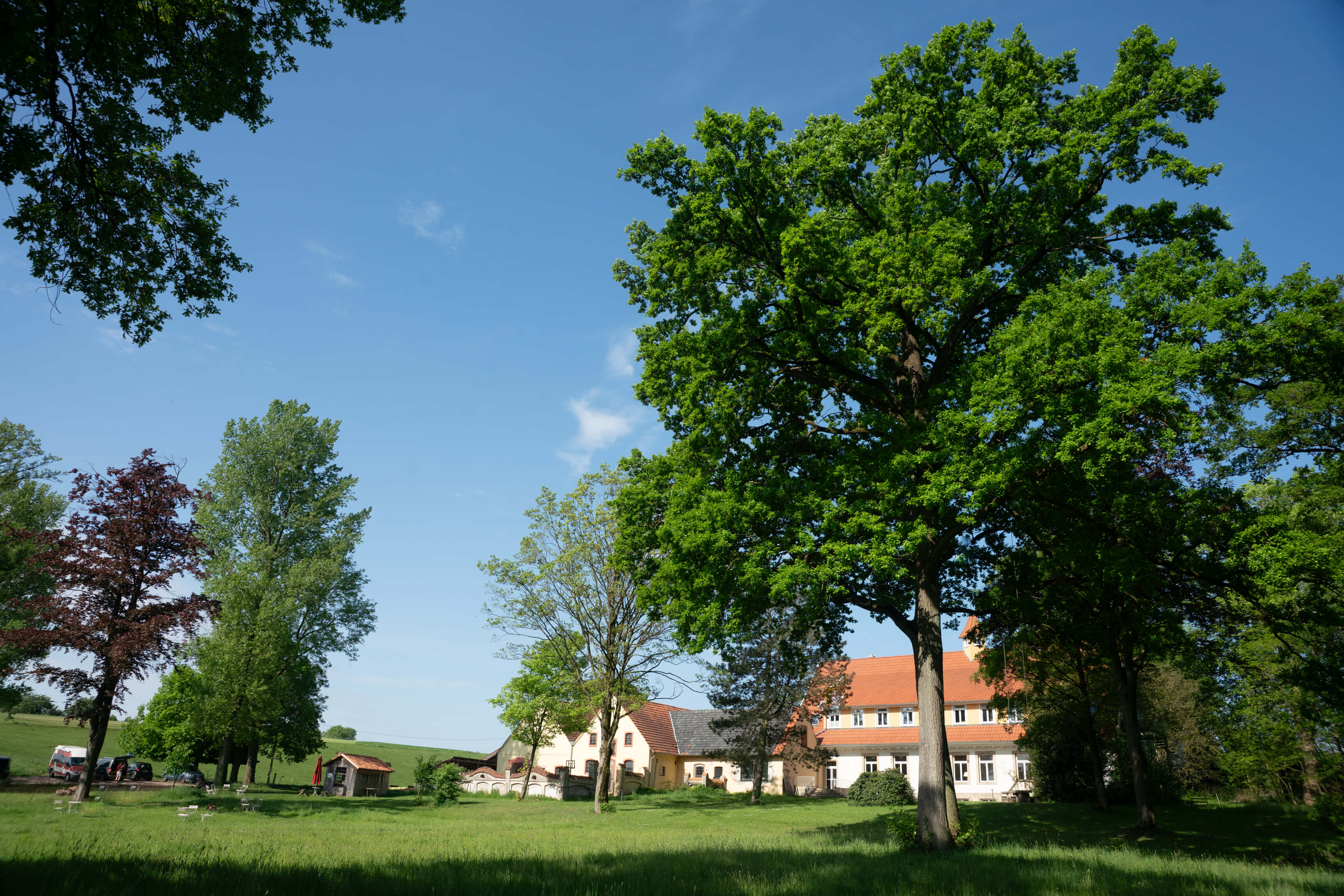 DSC09090.jpg