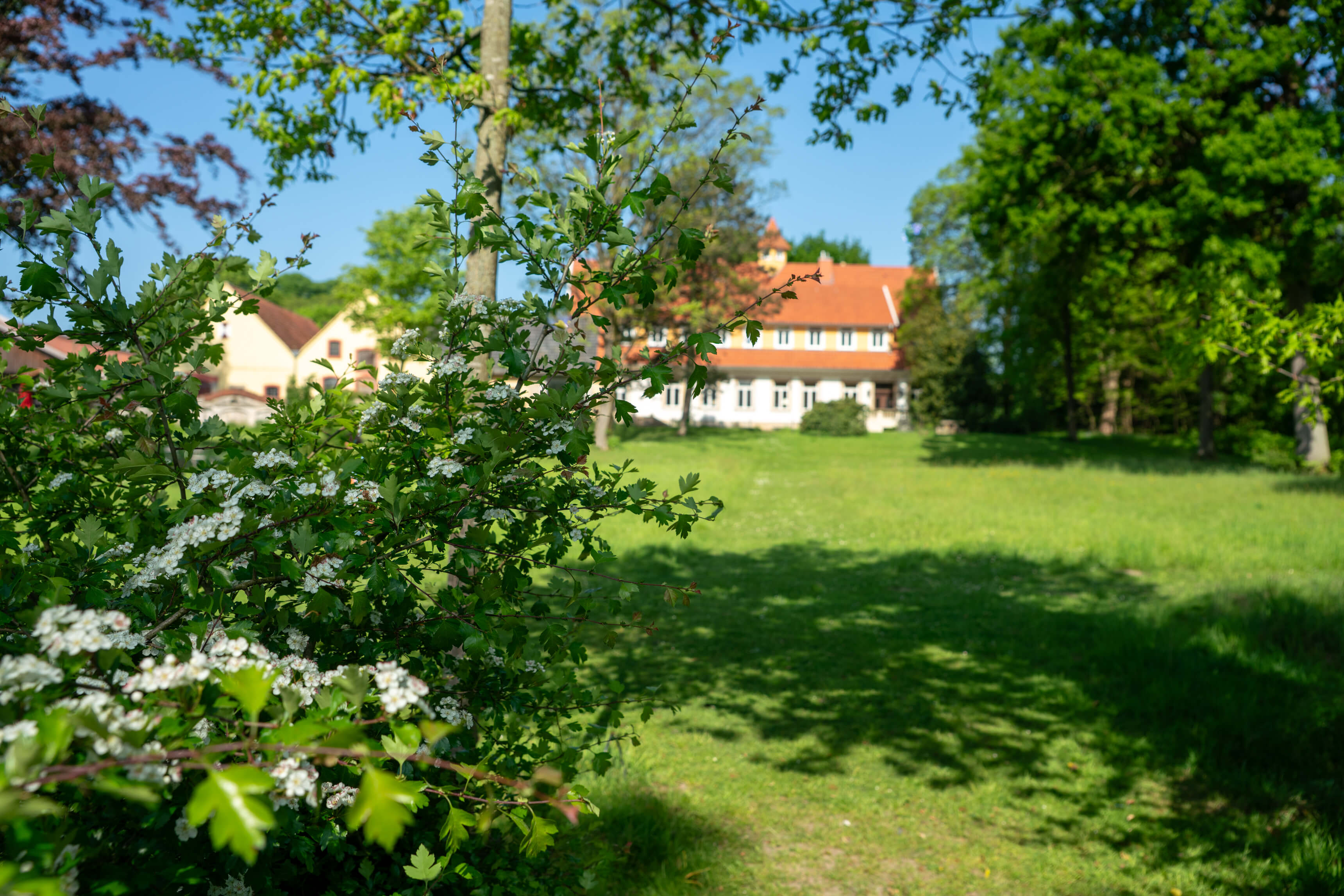 DSC09095.jpg