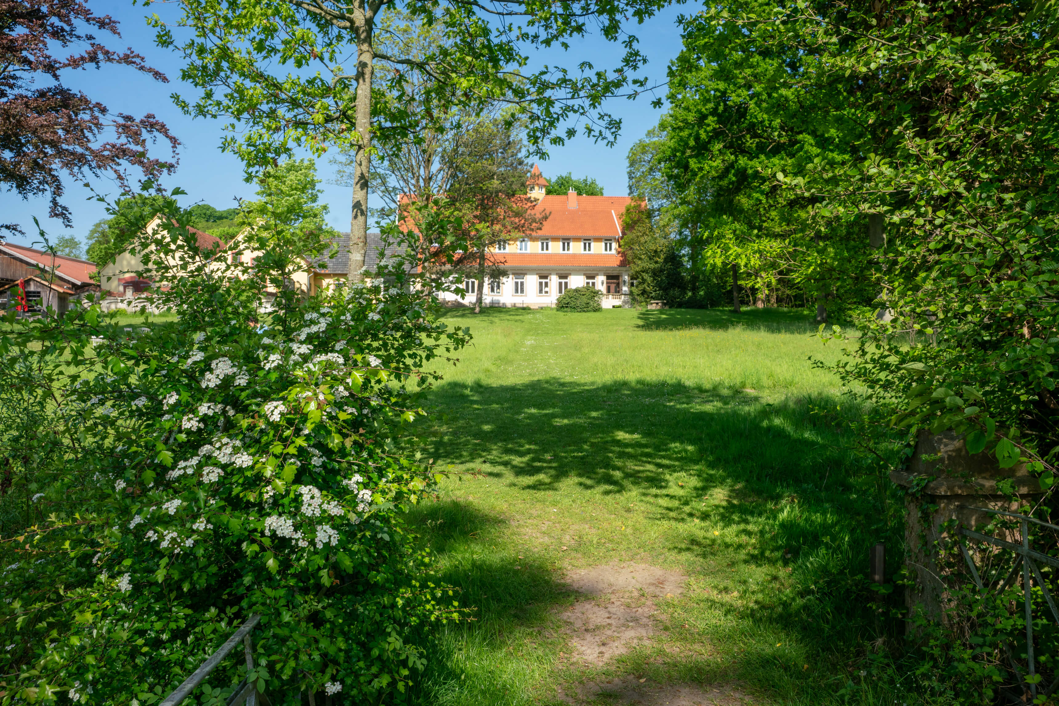 DSC09097.jpg